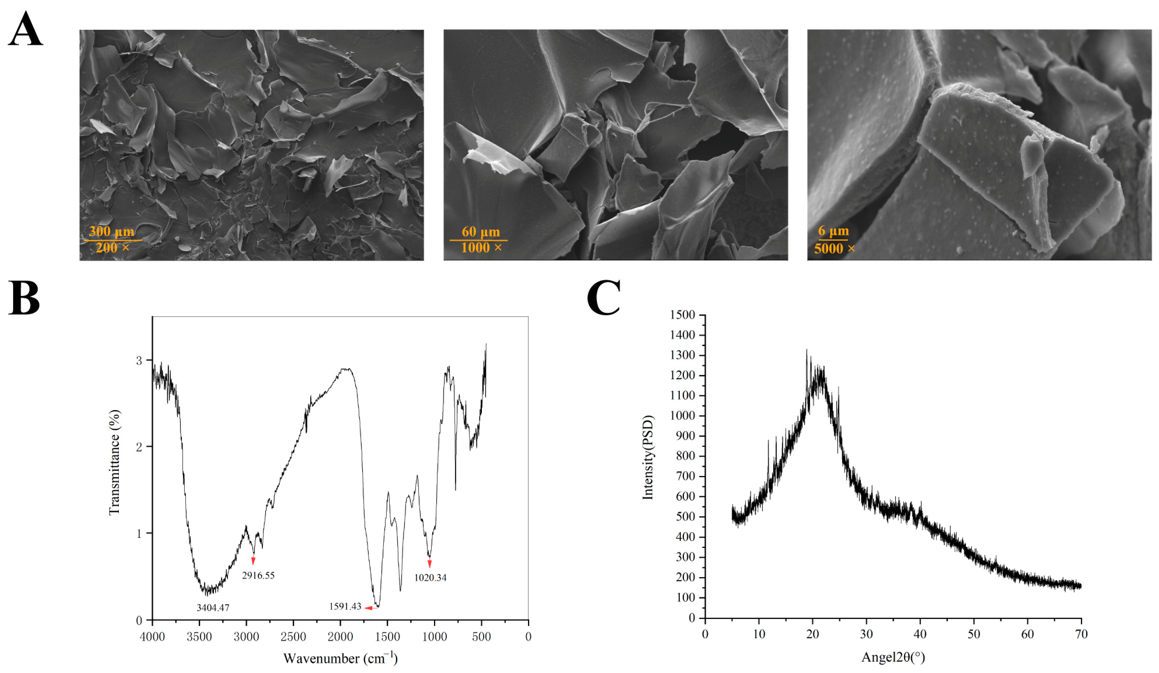 Antioxidants 14 01072 g005