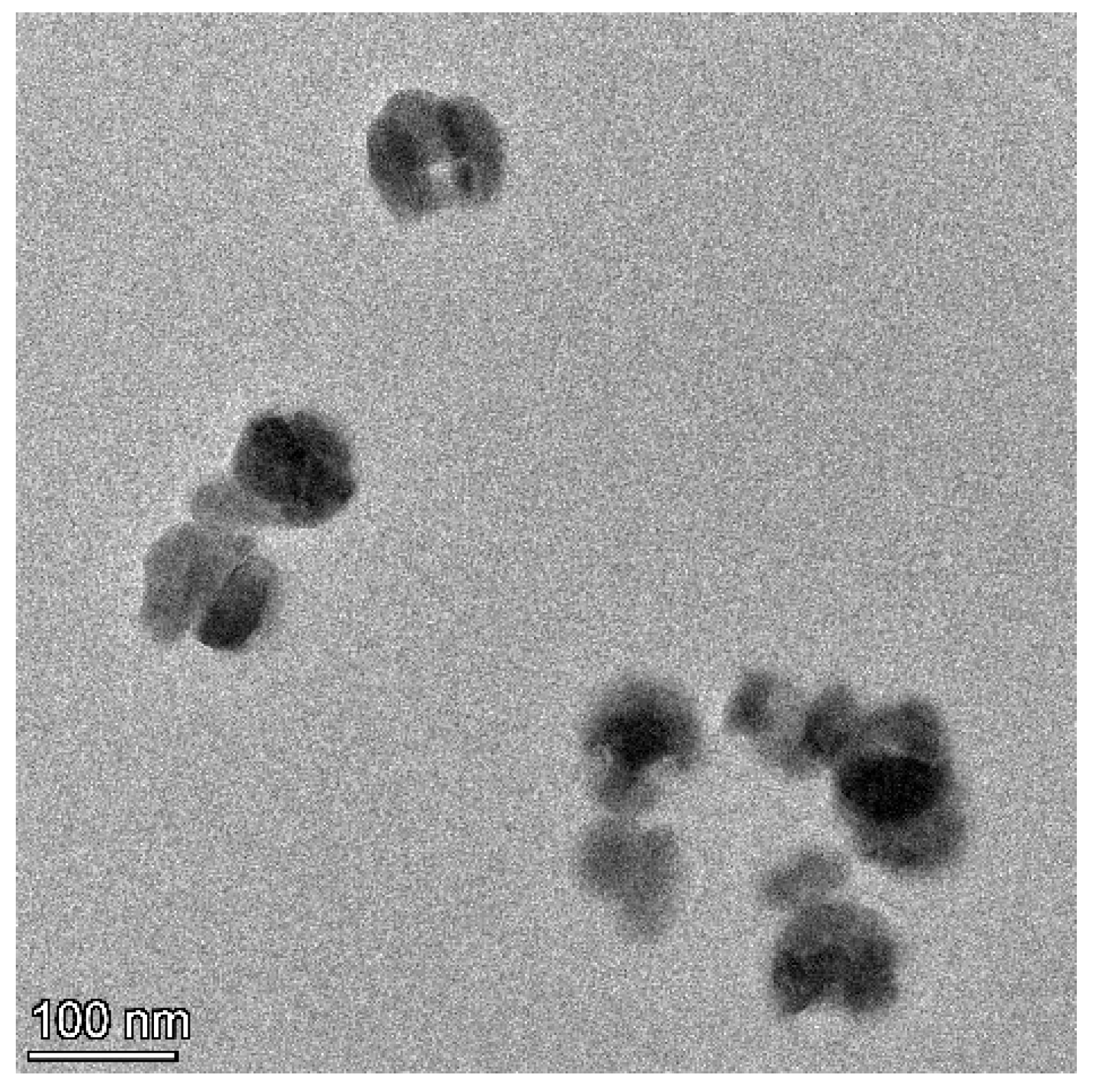 Antioxidants 14 01073 g001