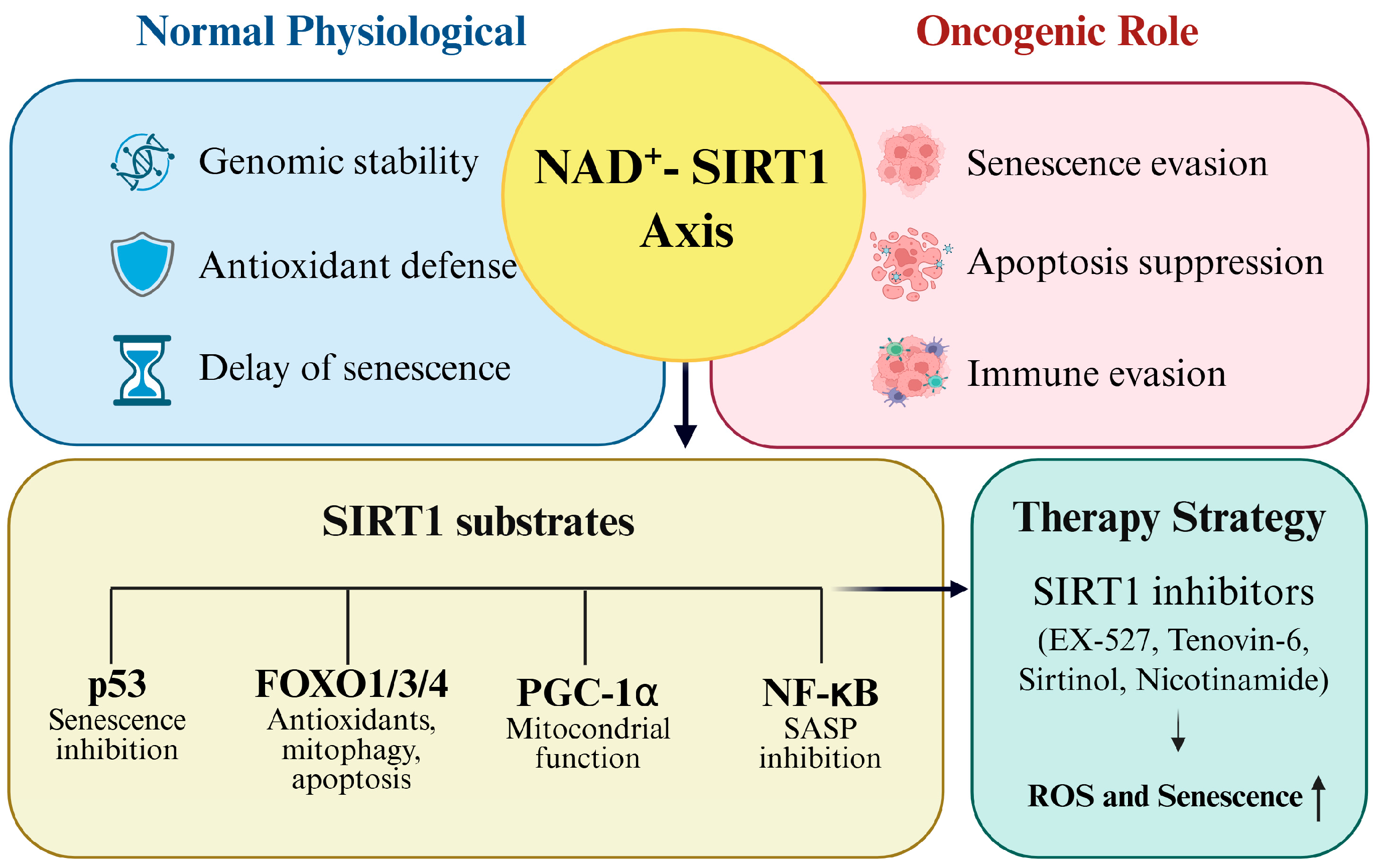 Antioxidants 14 01076 g006 Antioxidants 14 01076 g006