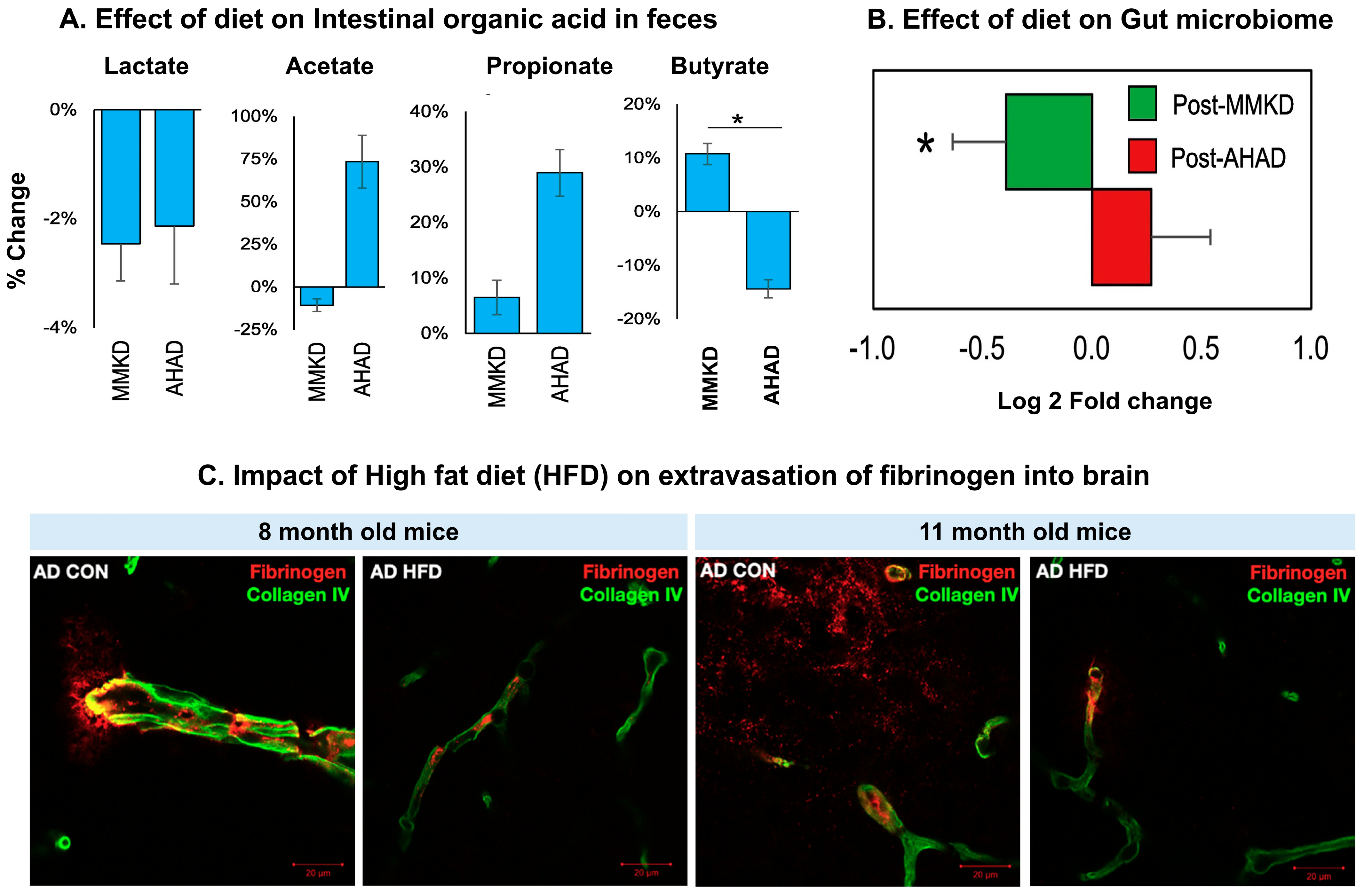 Antioxidants 14 01078 g004 Antioxidants 14 01078 g004