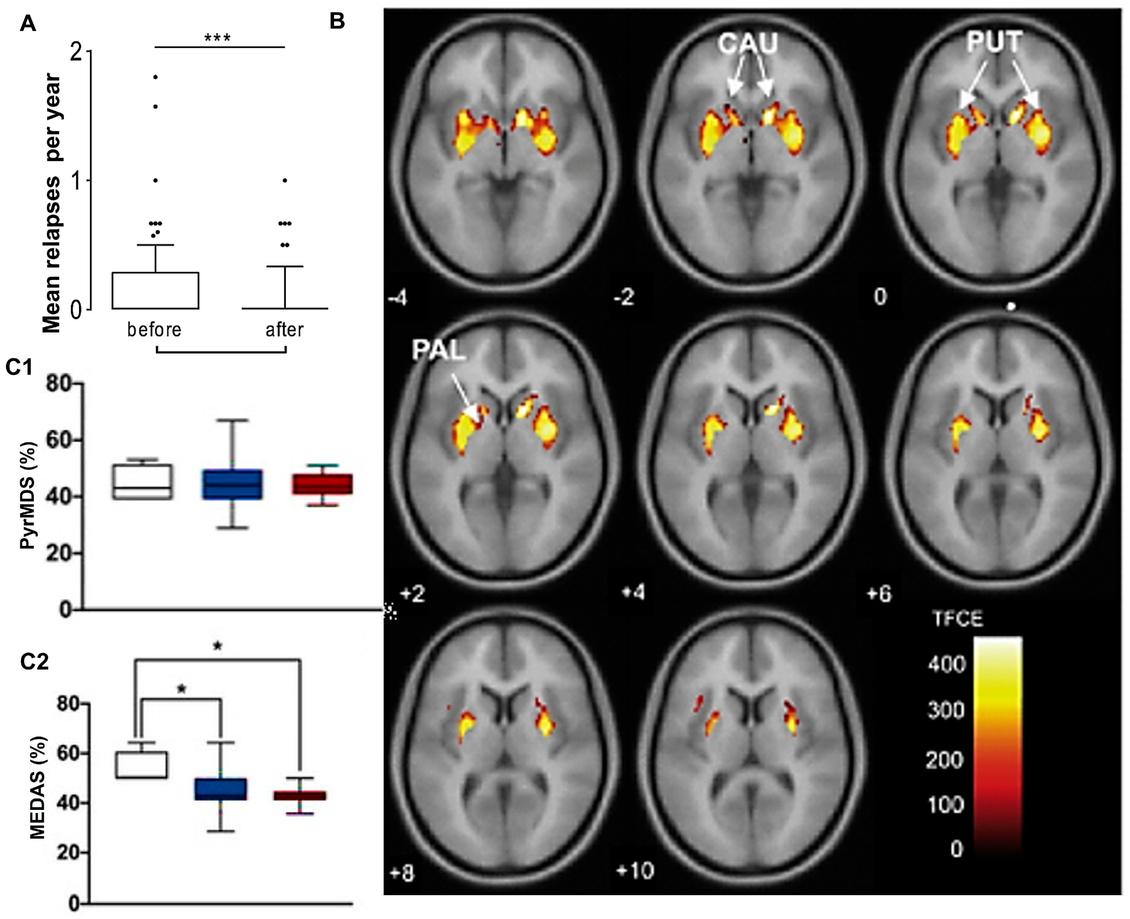 Antioxidants 14 01078 g005 Antioxidants 14 01078 g005