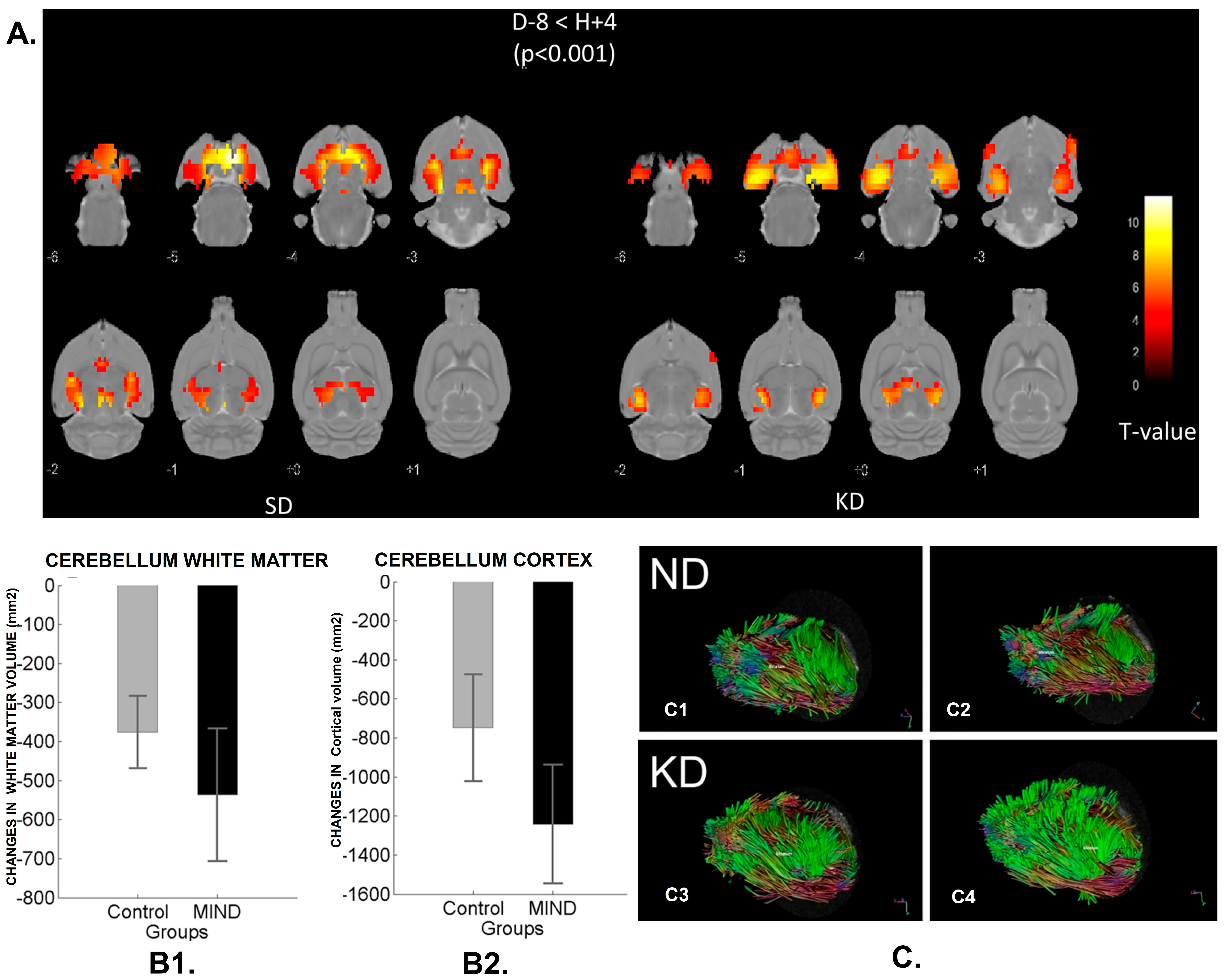 Antioxidants 14 01078 g006 Antioxidants 14 01078 g006
