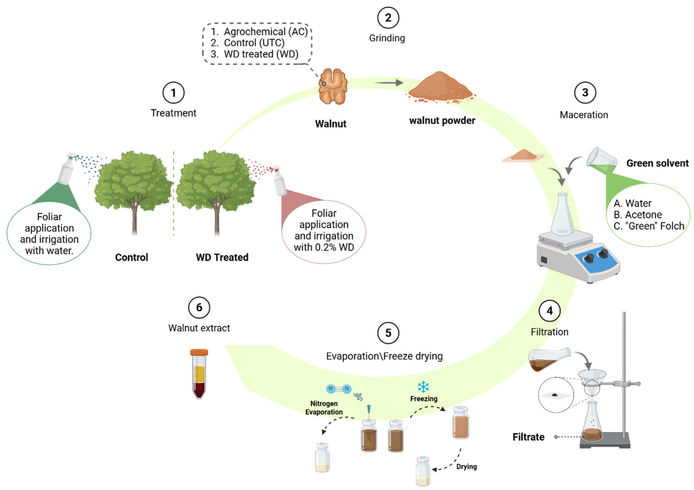Antioxidants 14 01079 g006