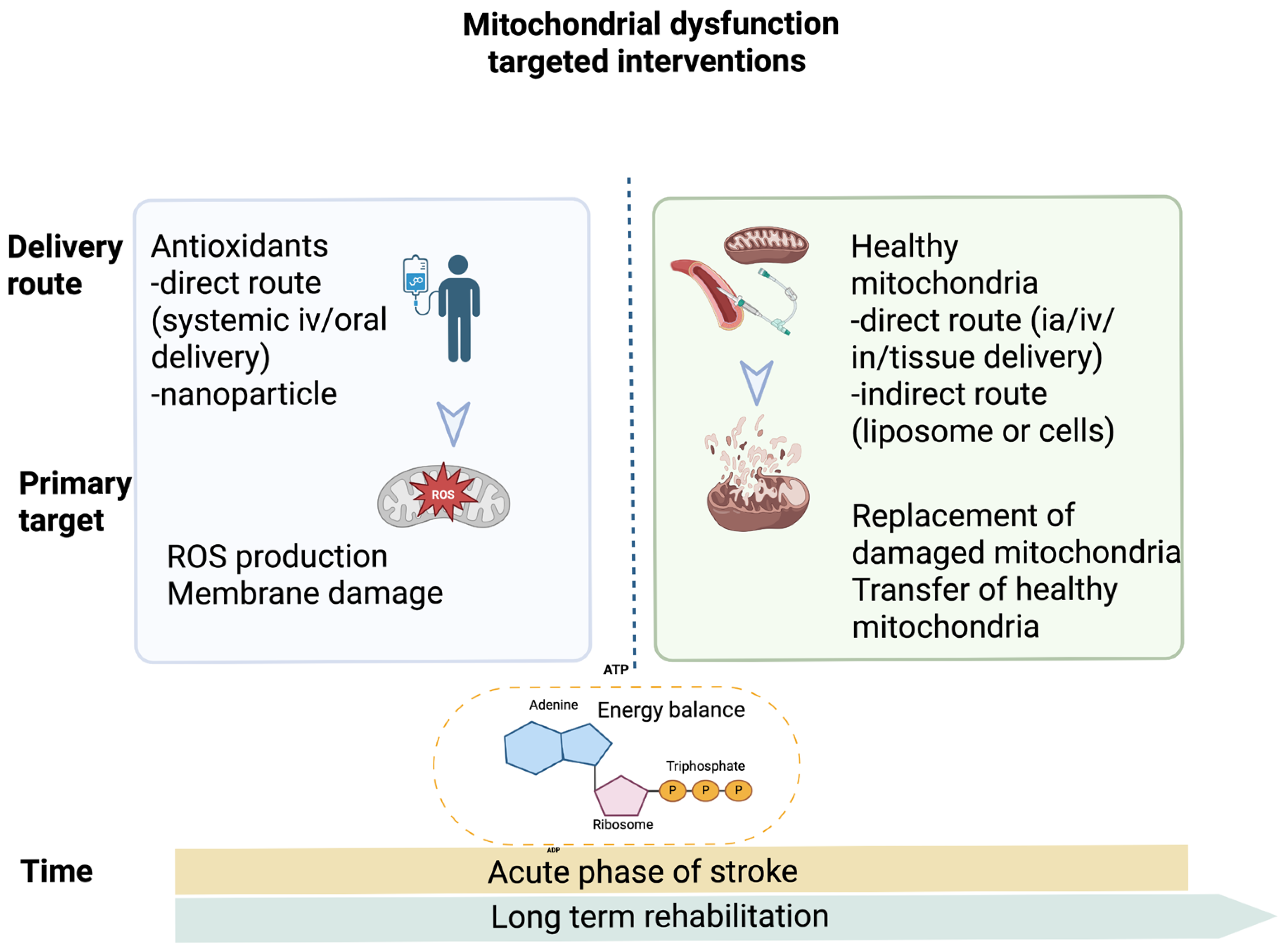Antioxidants 14 01080 g002