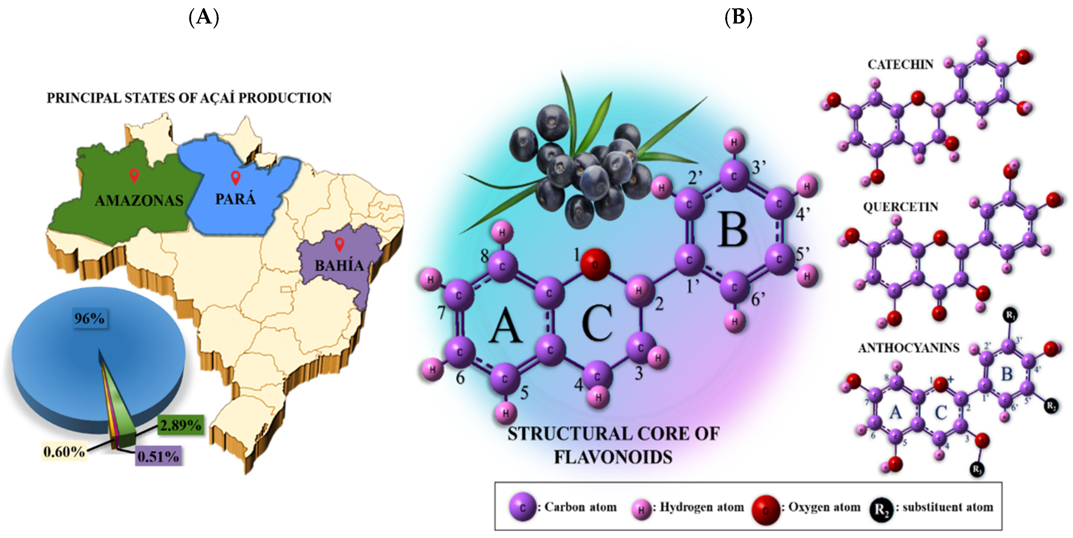 Antioxidants 14 01082 g001