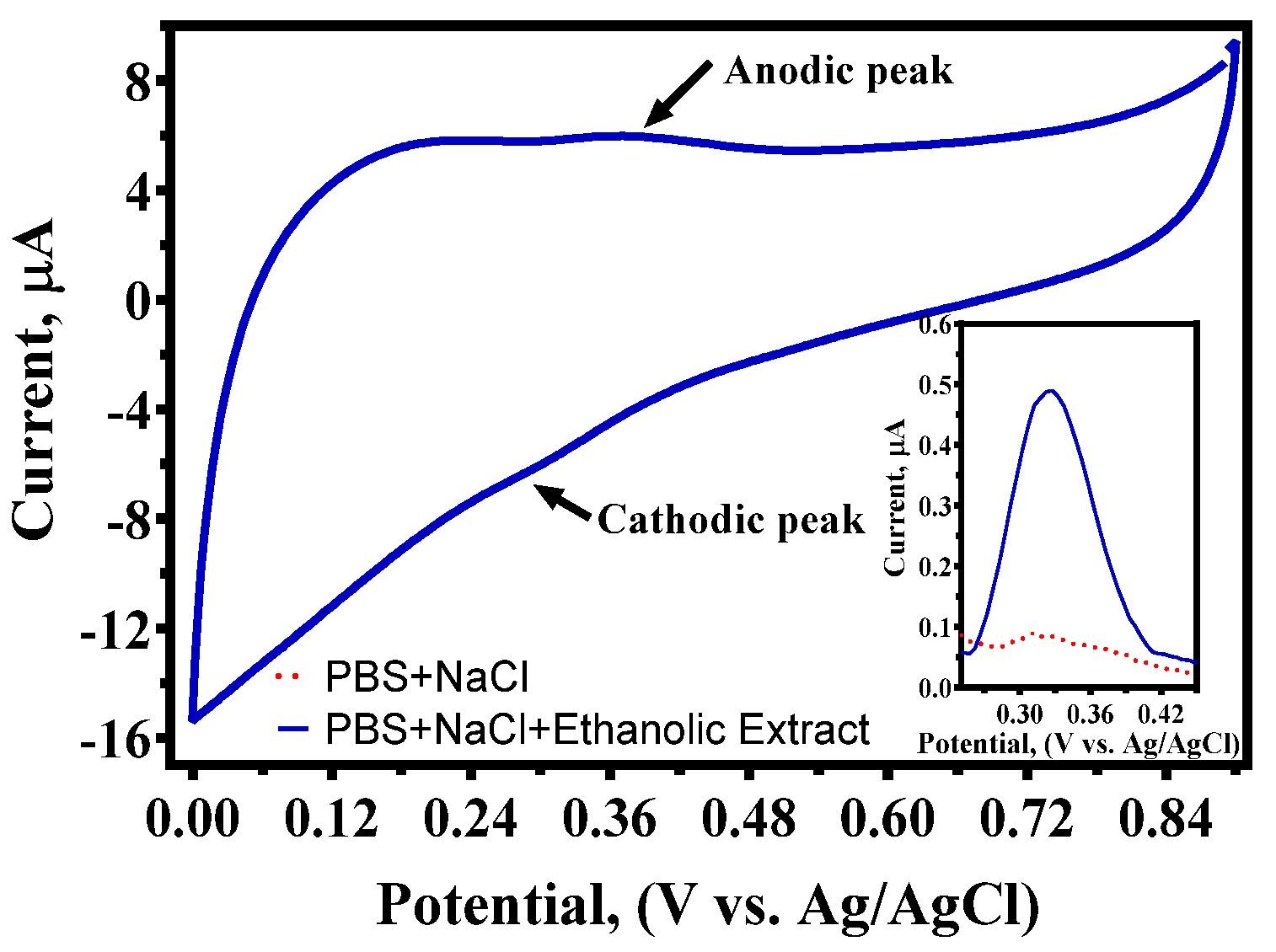 Antioxidants 14 01082 g005