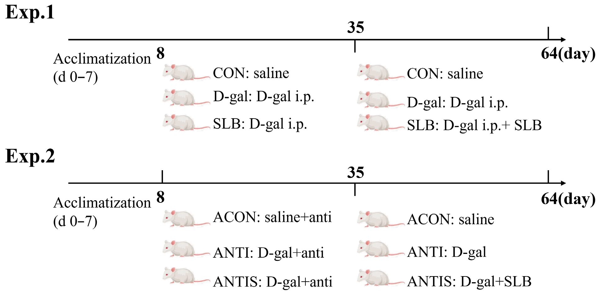 Antioxidants 14 01087 g001