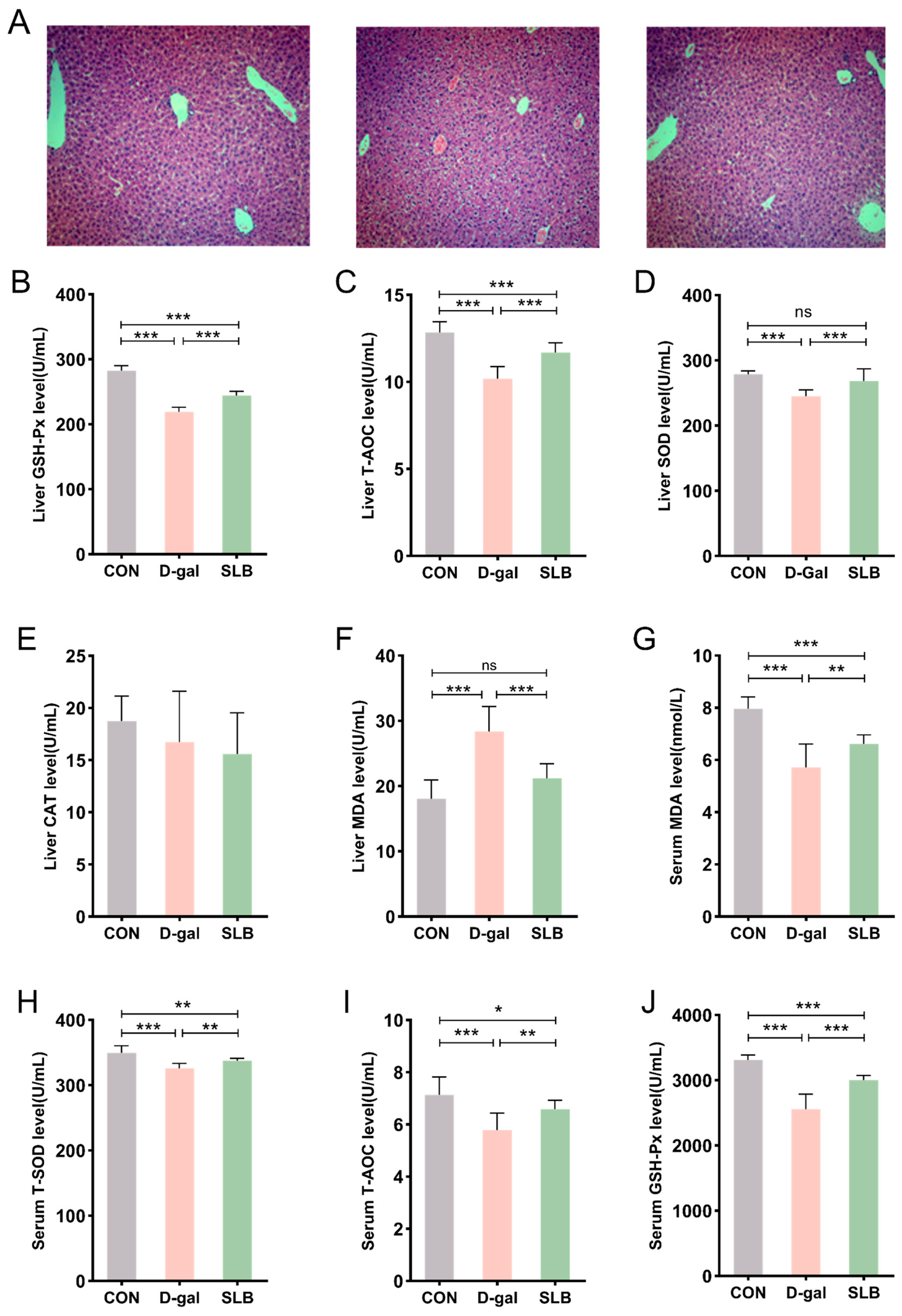 Antioxidants 14 01087 g003