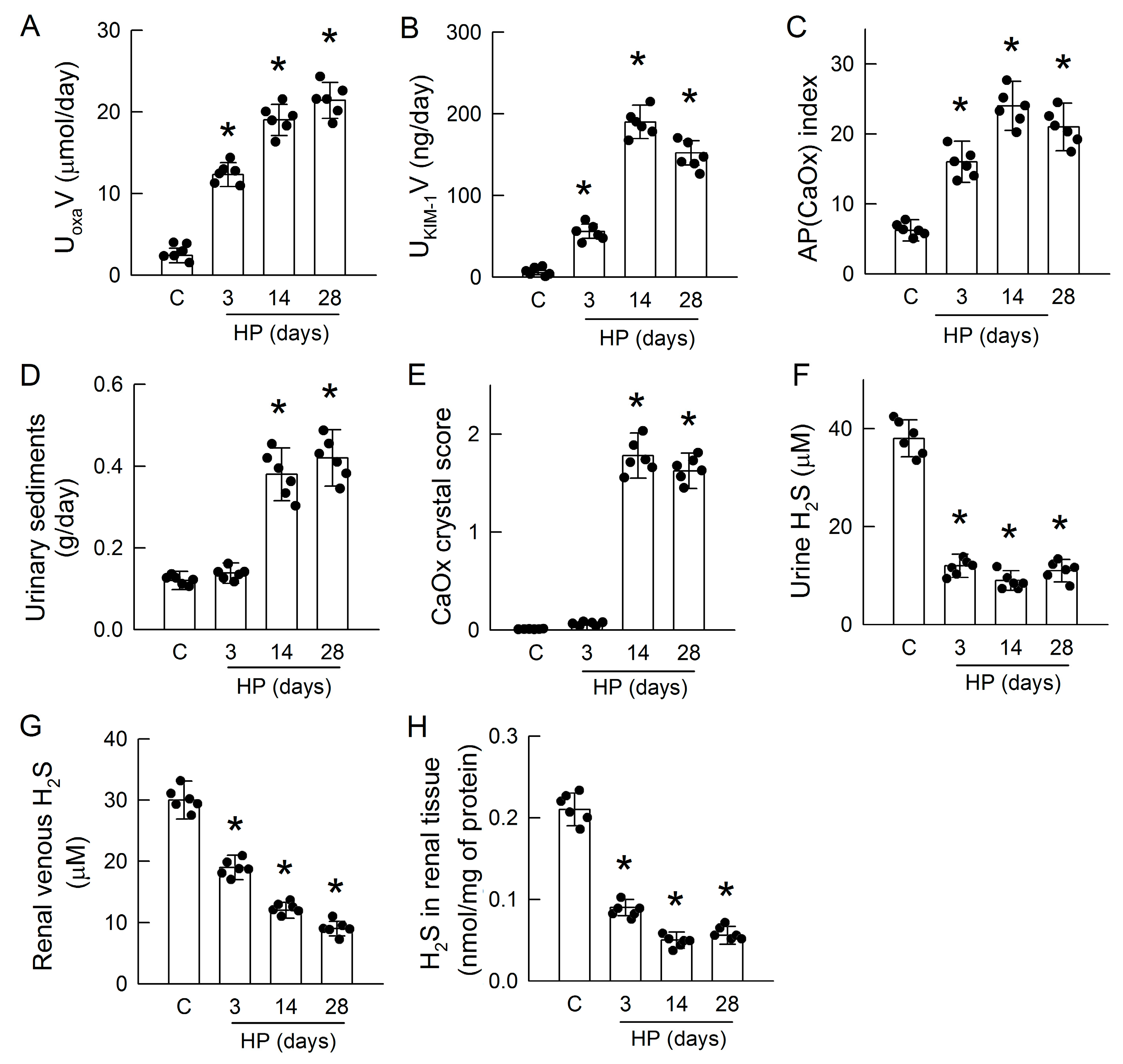 Antioxidants 14 01088 g001 Antioxidants 14 01088 g001