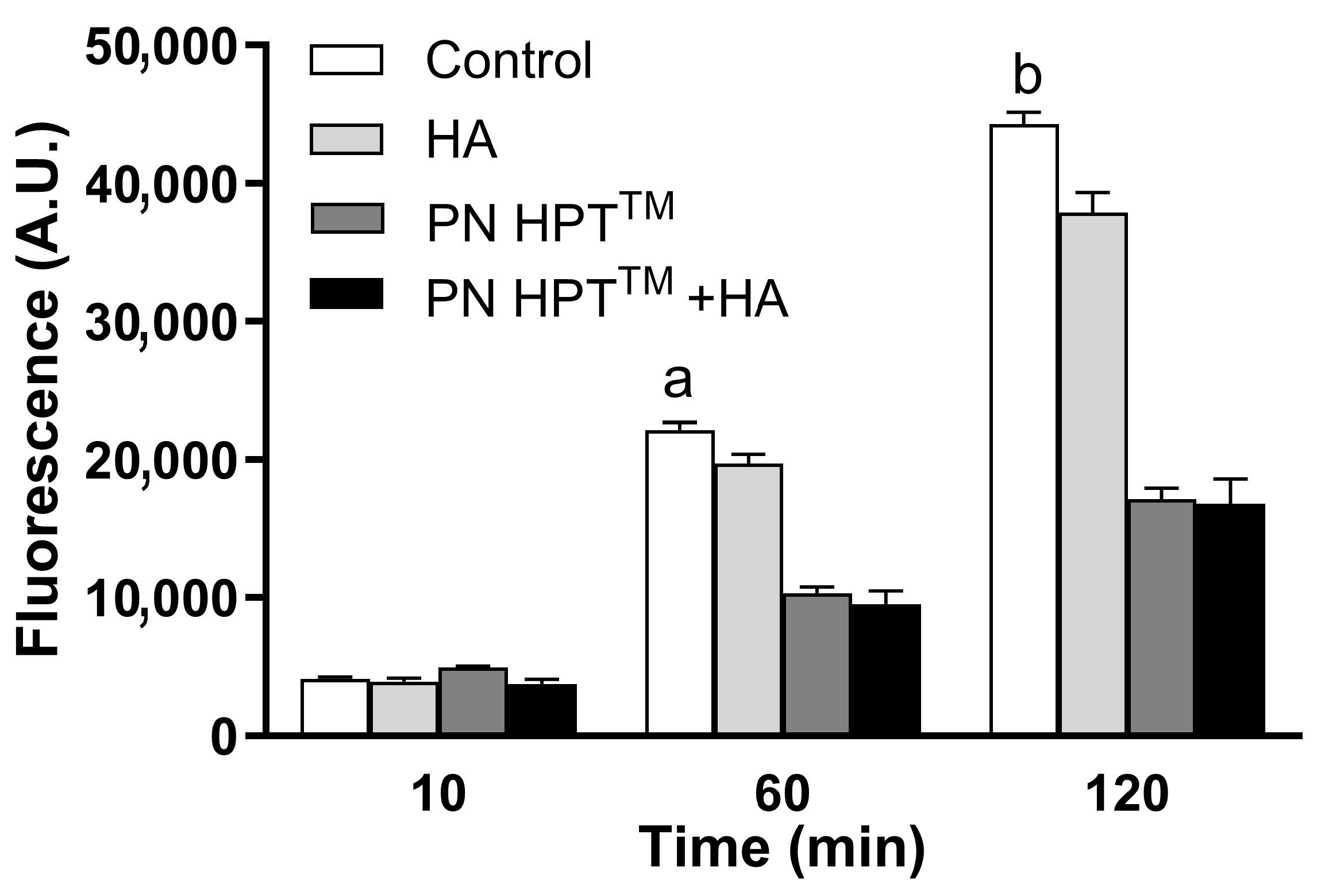 Antioxidants 14 01089 g003