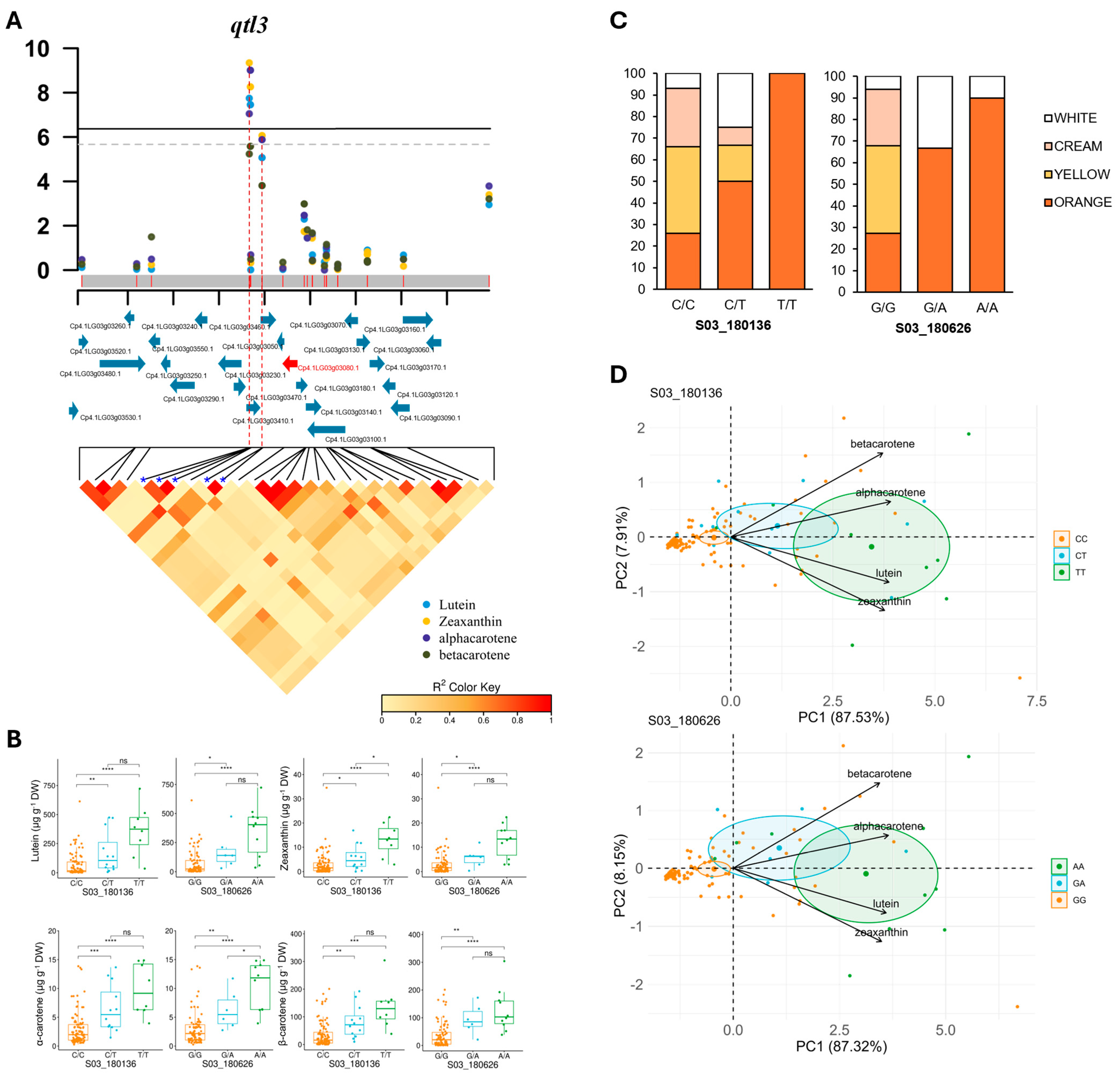 Antioxidants 14 01090 g005