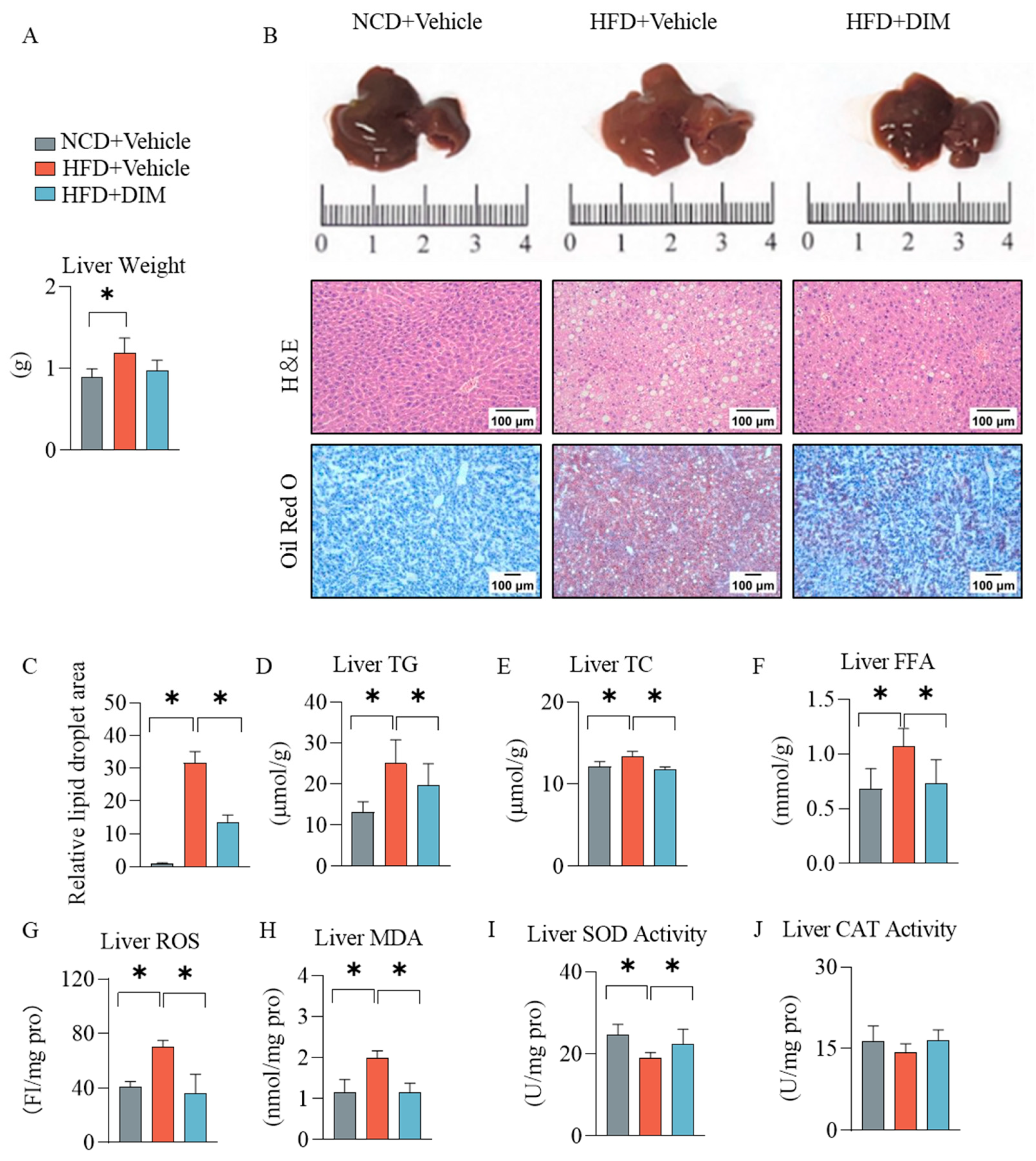 Antioxidants 14 01093 g002 Antioxidants 14 01093 g002