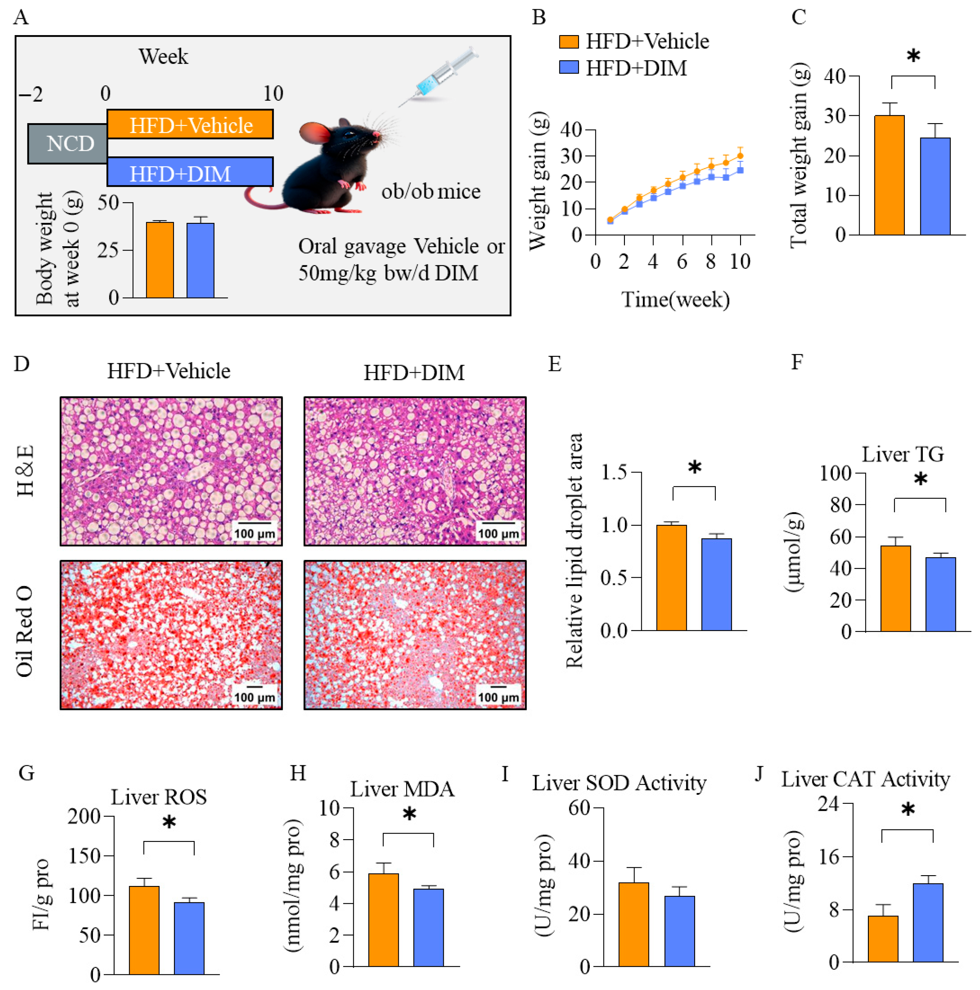 Antioxidants 14 01093 g003 Antioxidants 14 01093 g003