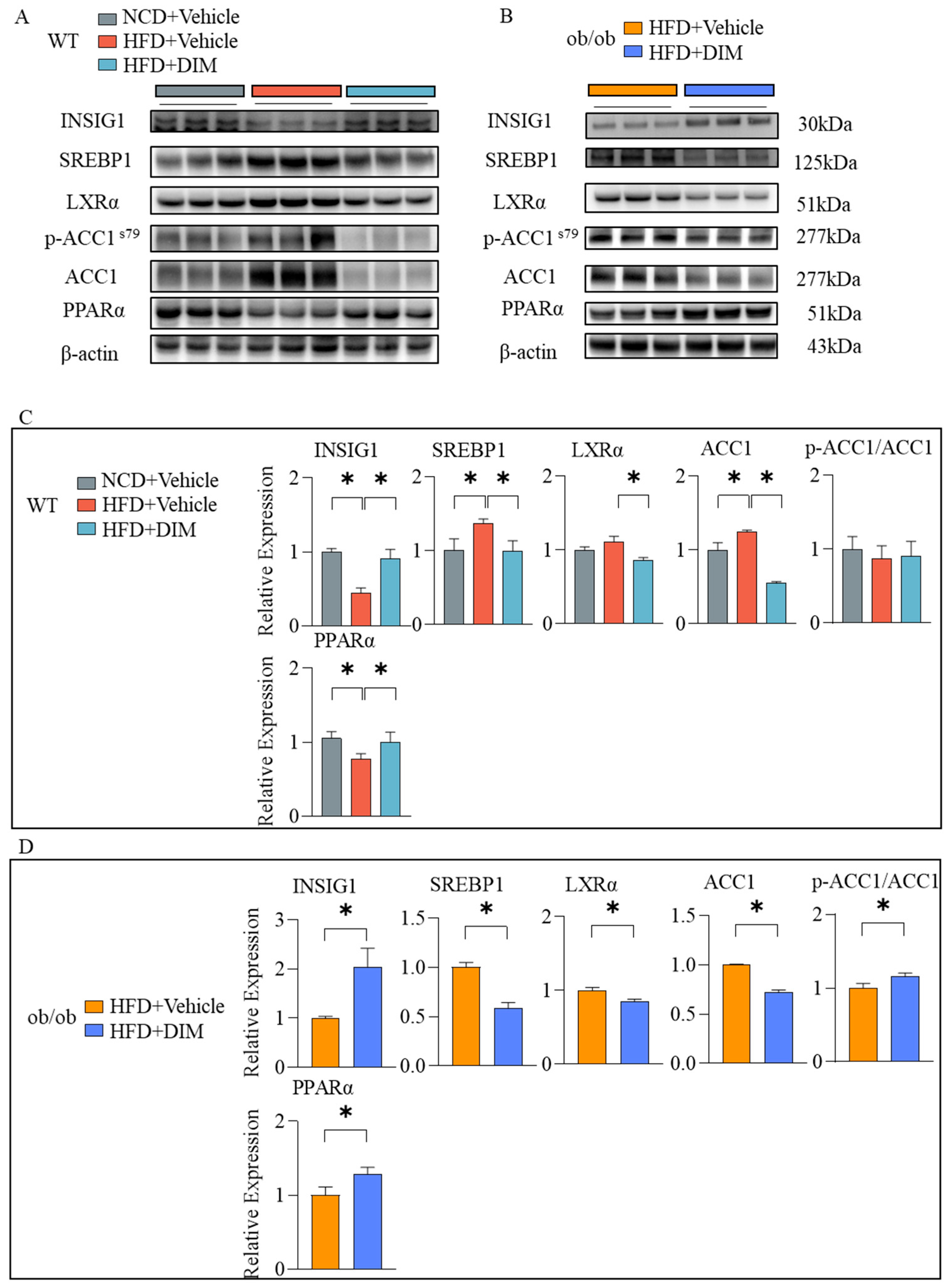 Antioxidants 14 01093 g005 Antioxidants 14 01093 g005