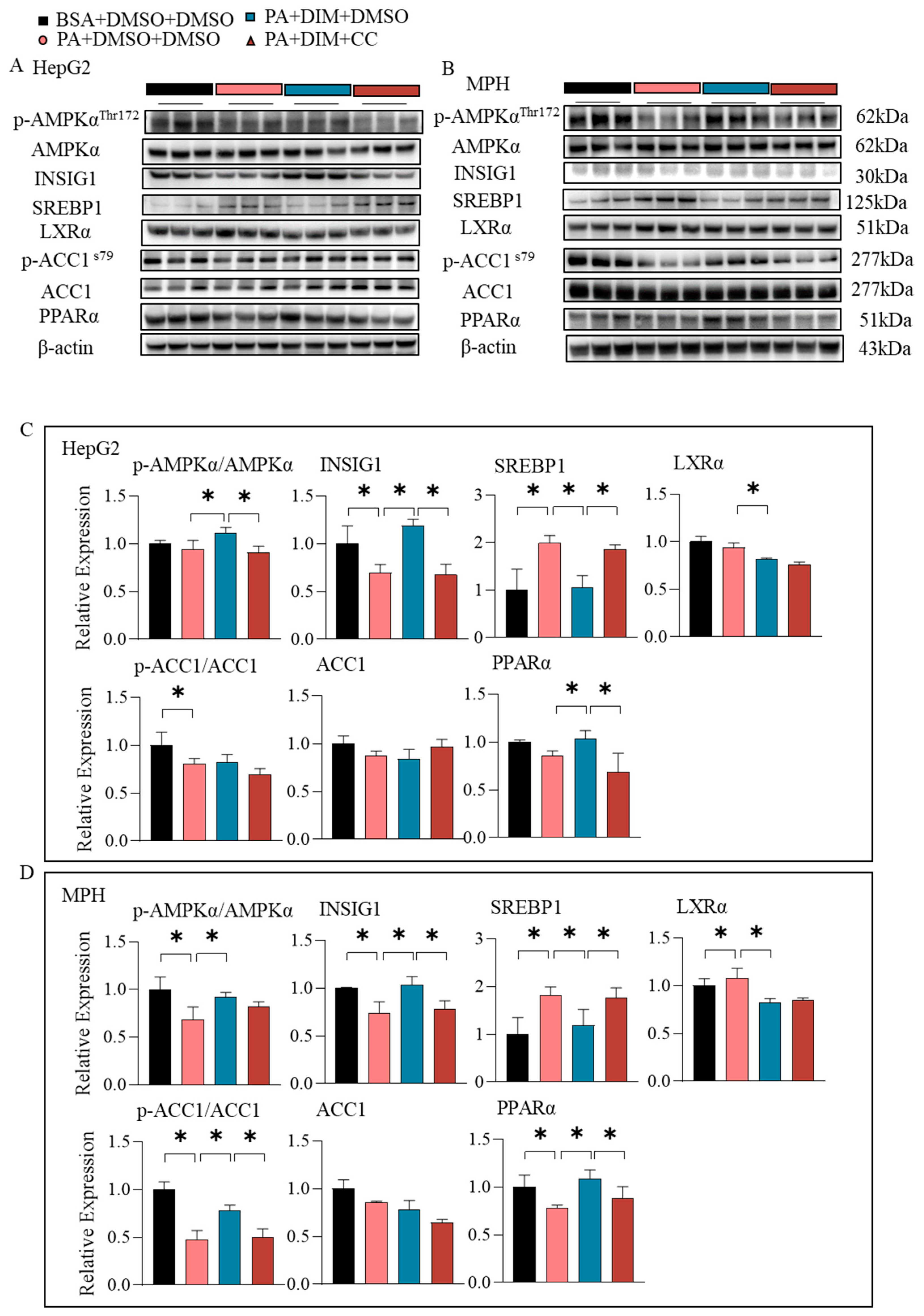 Antioxidants 14 01093 g008 Antioxidants 14 01093 g008