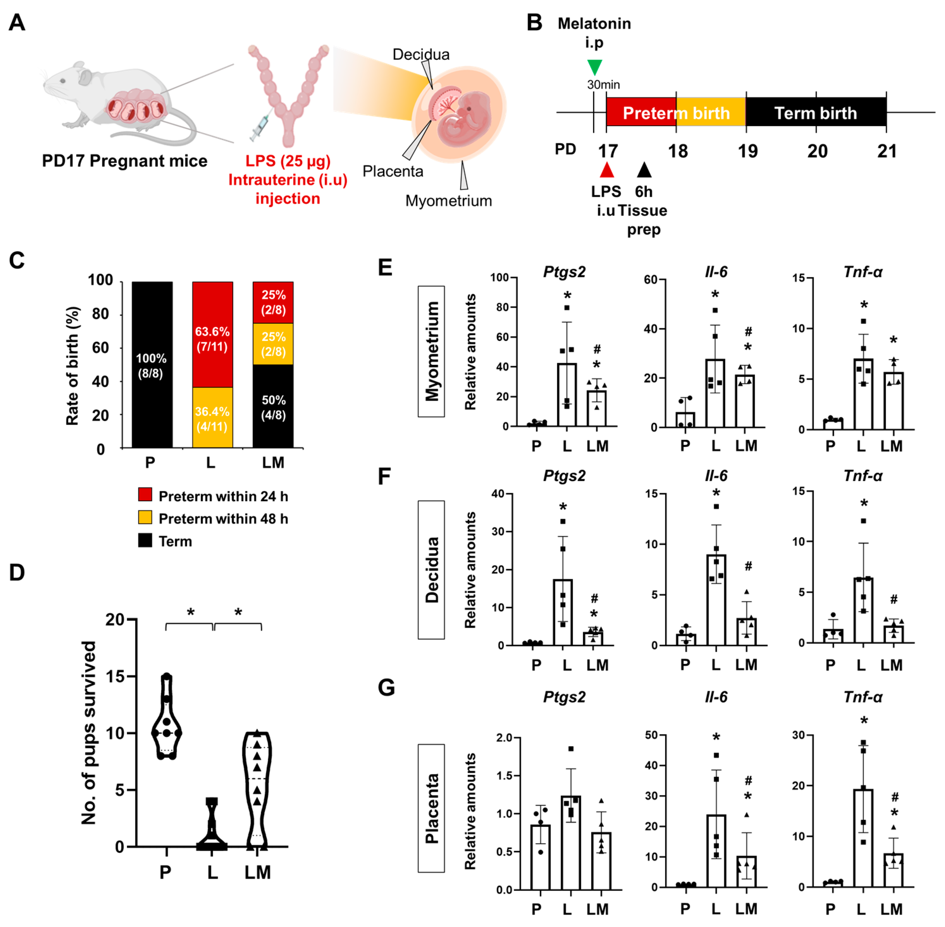 Antioxidants 14 01094 g001