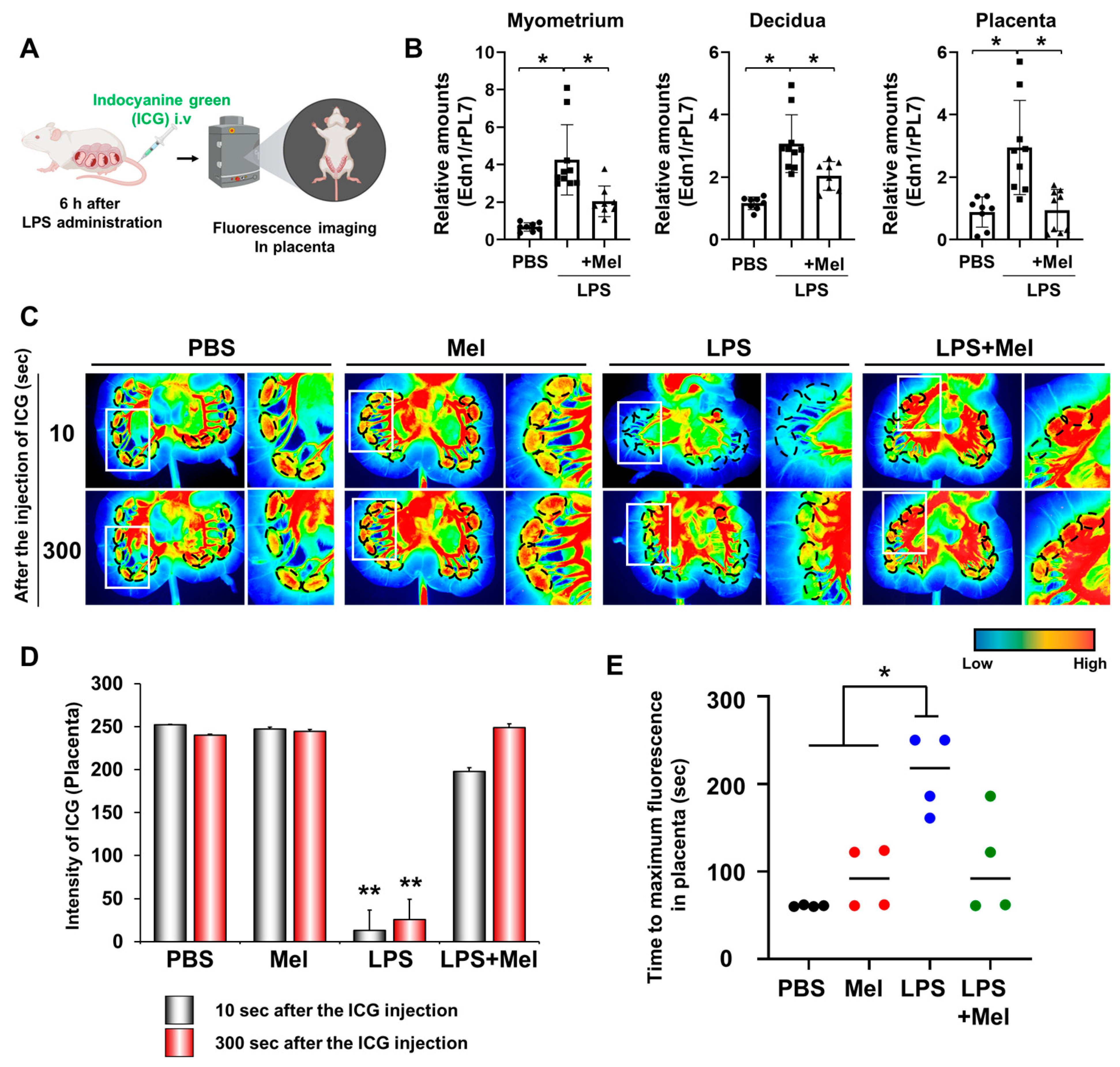 Antioxidants 14 01094 g002