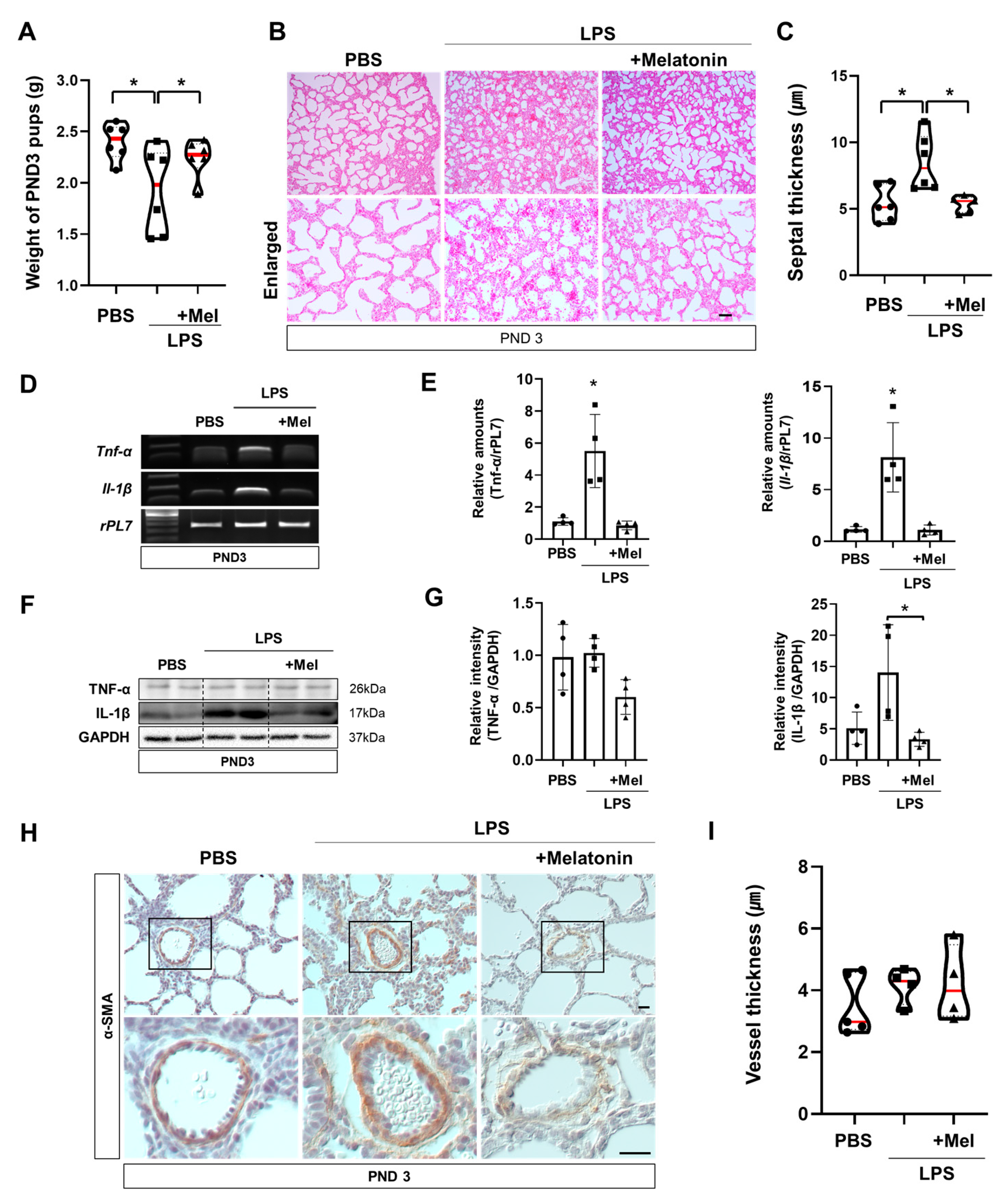 Antioxidants 14 01094 g004