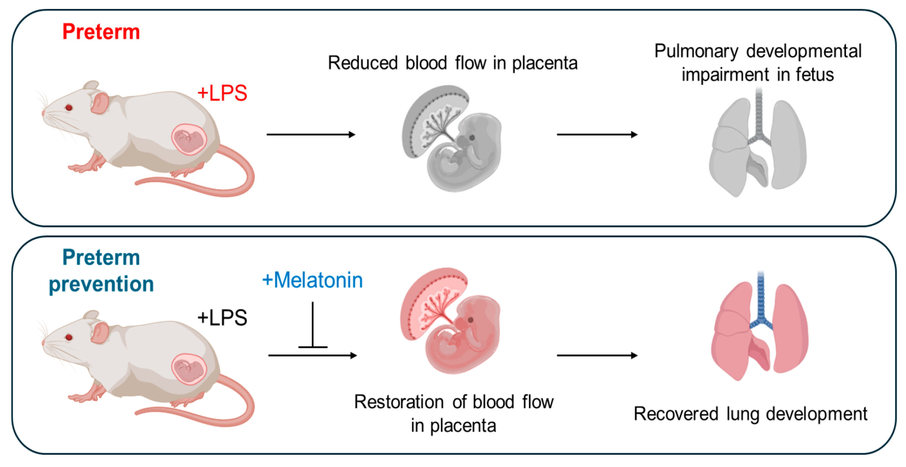 Antioxidants 14 01094 g005