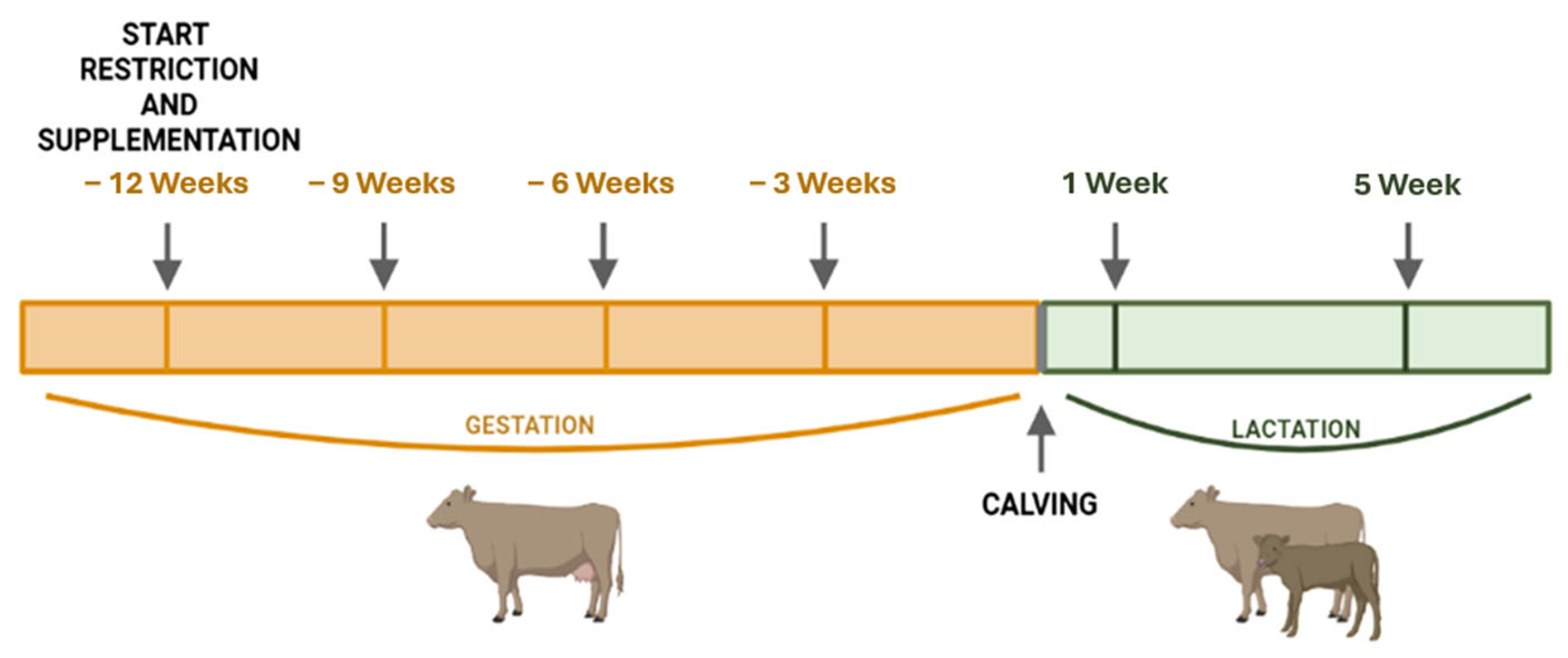 Antioxidants 14 01097 g001 Antioxidants 14 01097 g001