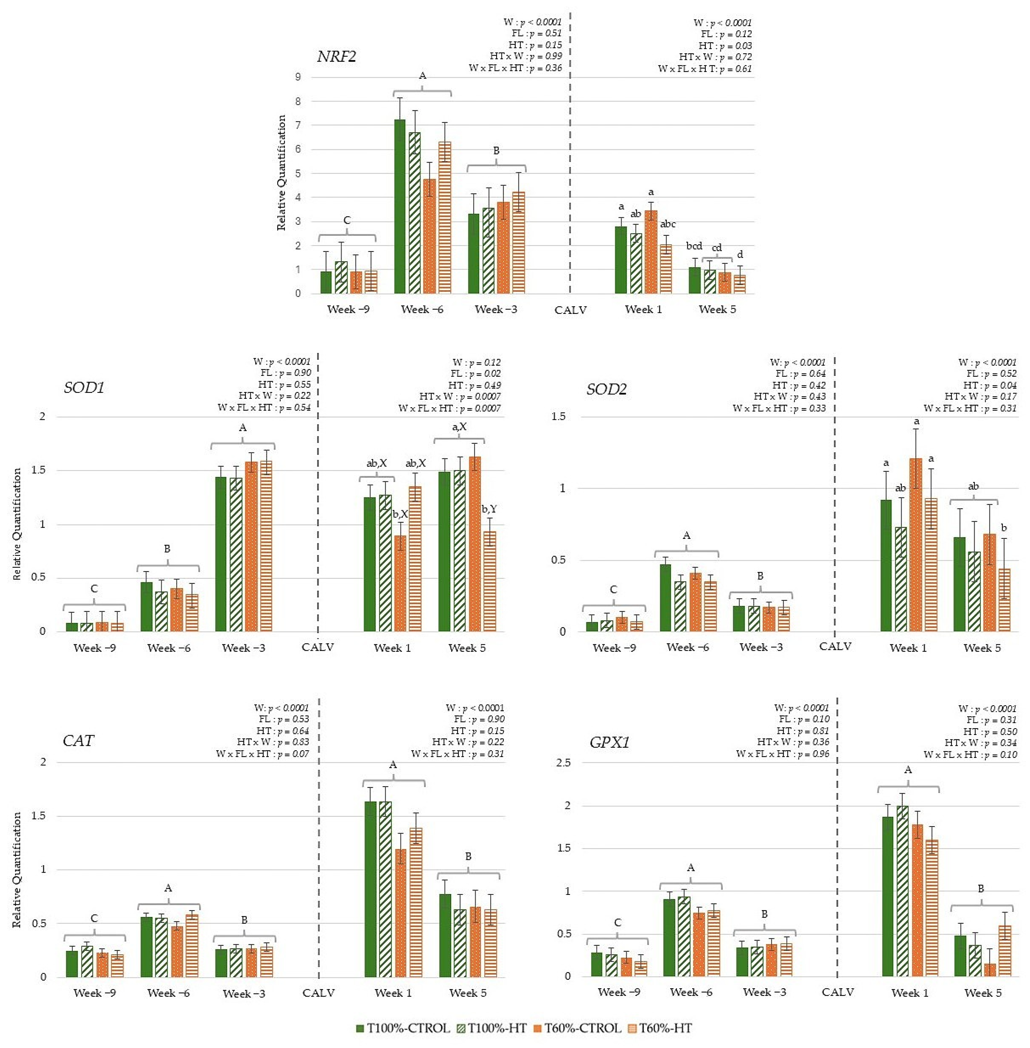 Antioxidants 14 01097 g004 Antioxidants 14 01097 g004