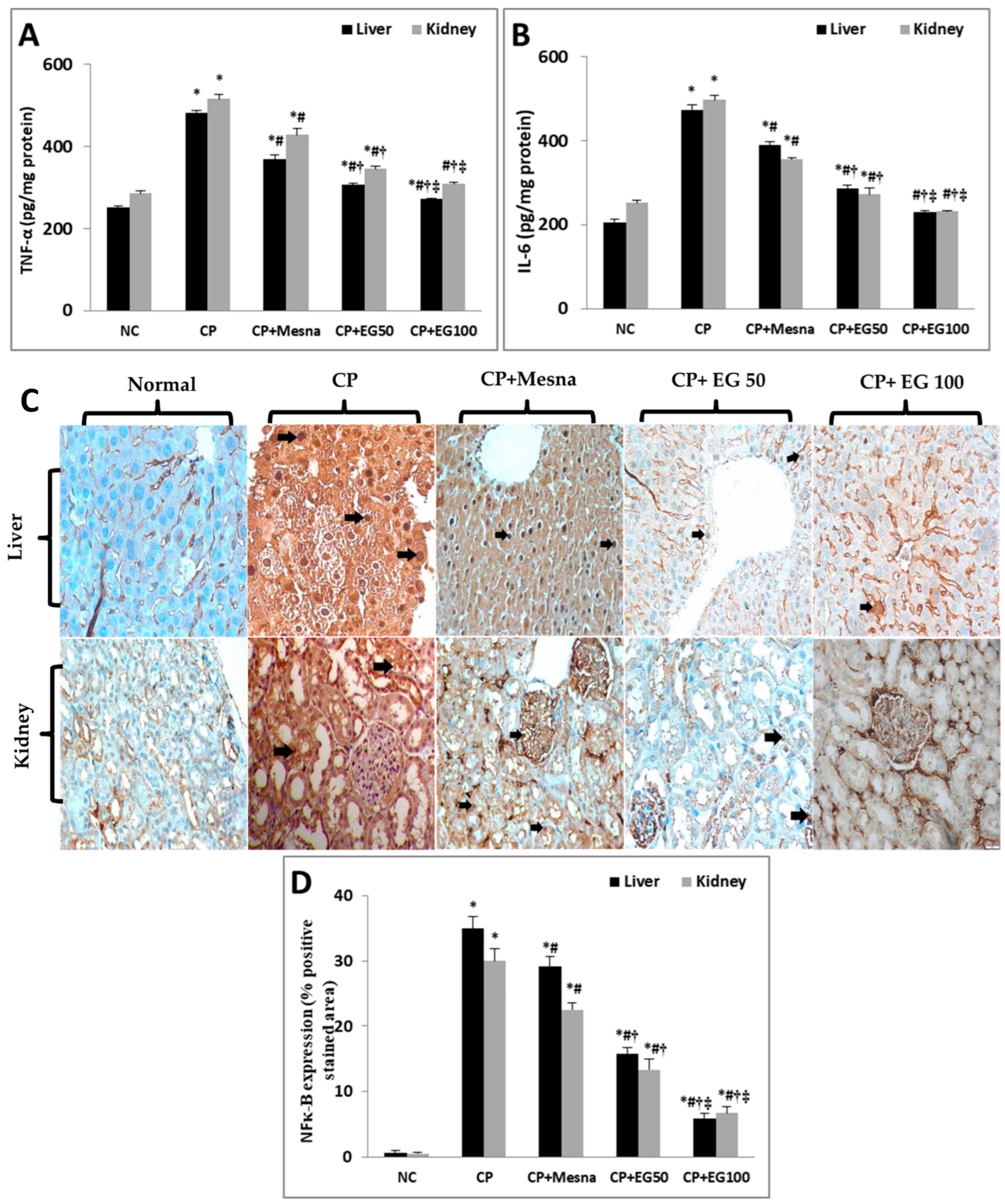 Antioxidants 14 01098 g005