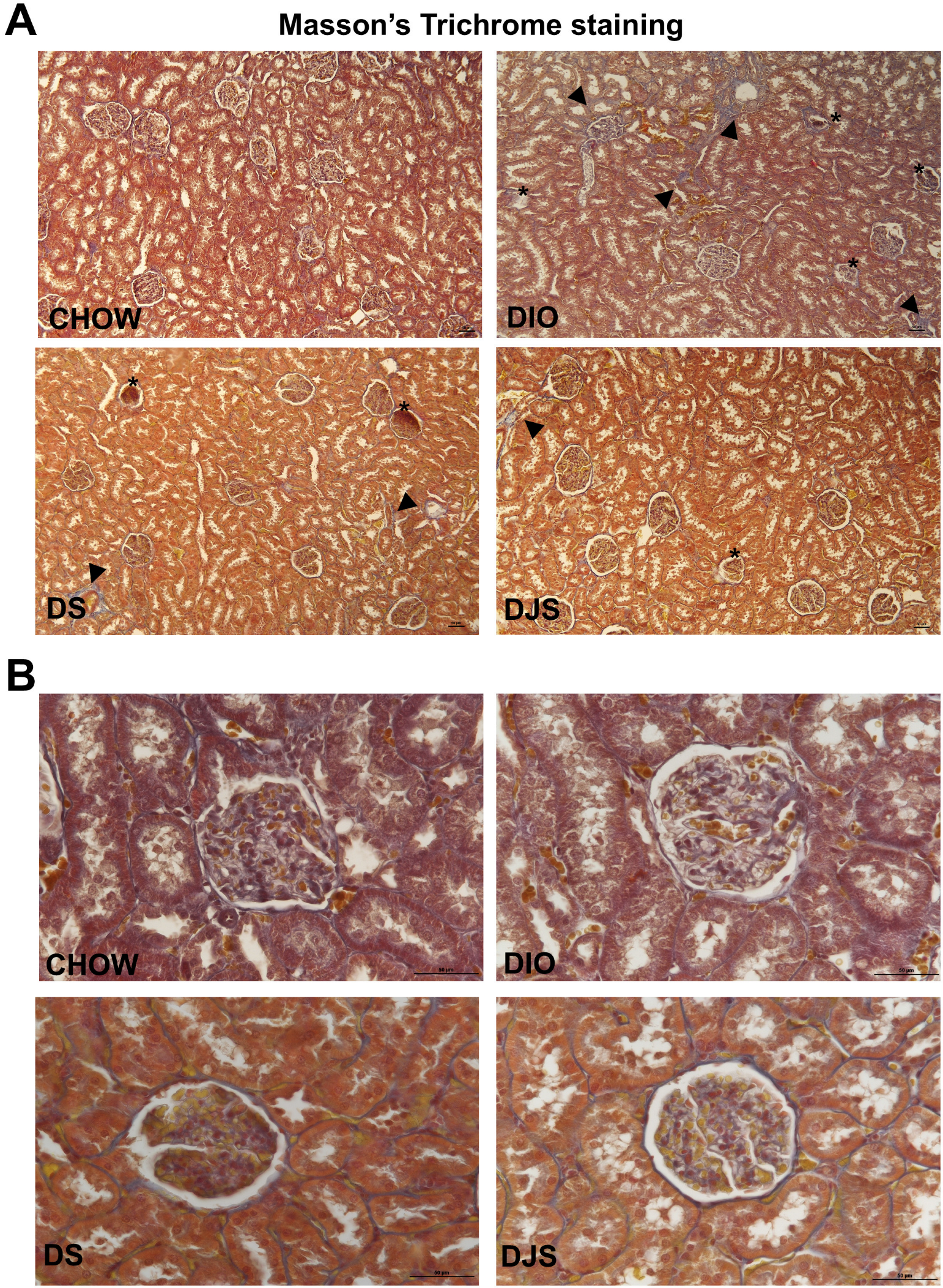 Antioxidants 14 01102 g001