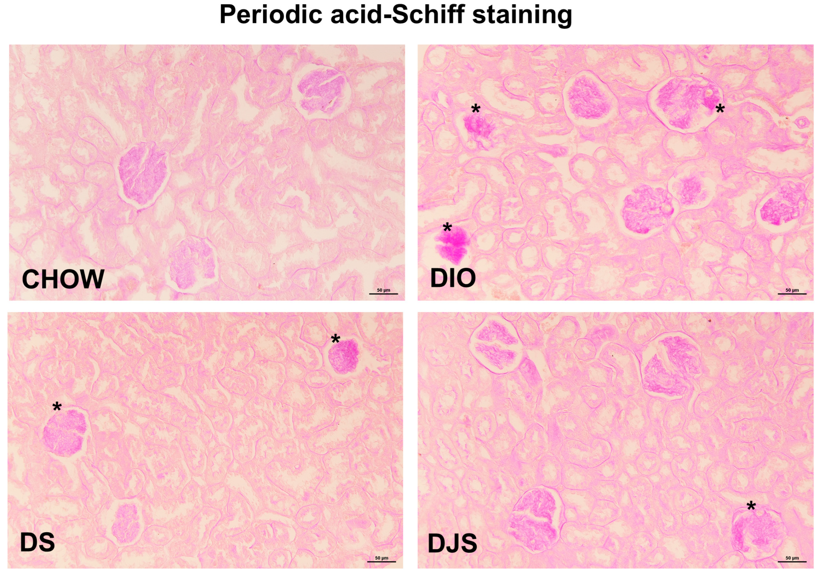 Antioxidants 14 01102 g002