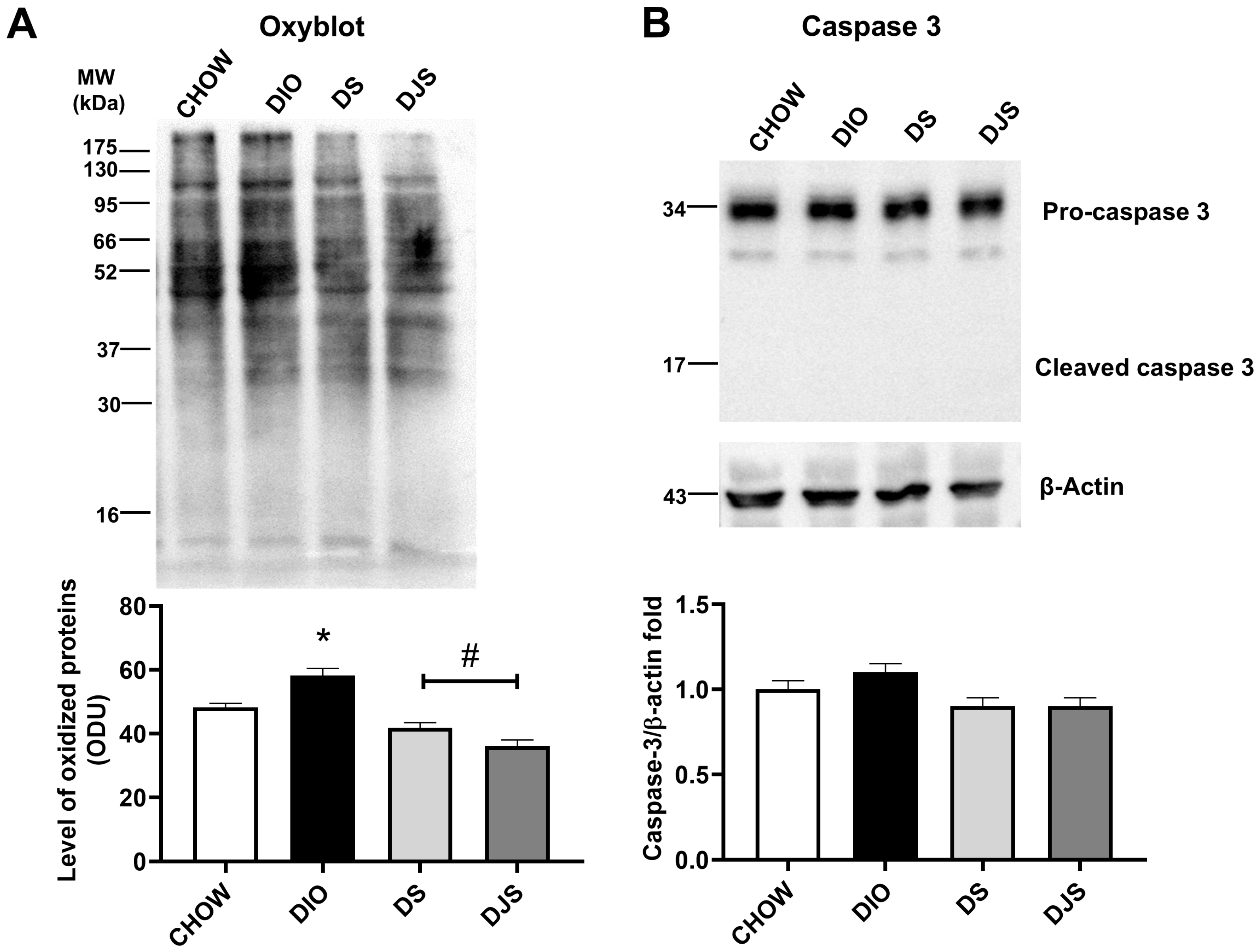 Antioxidants 14 01102 g003