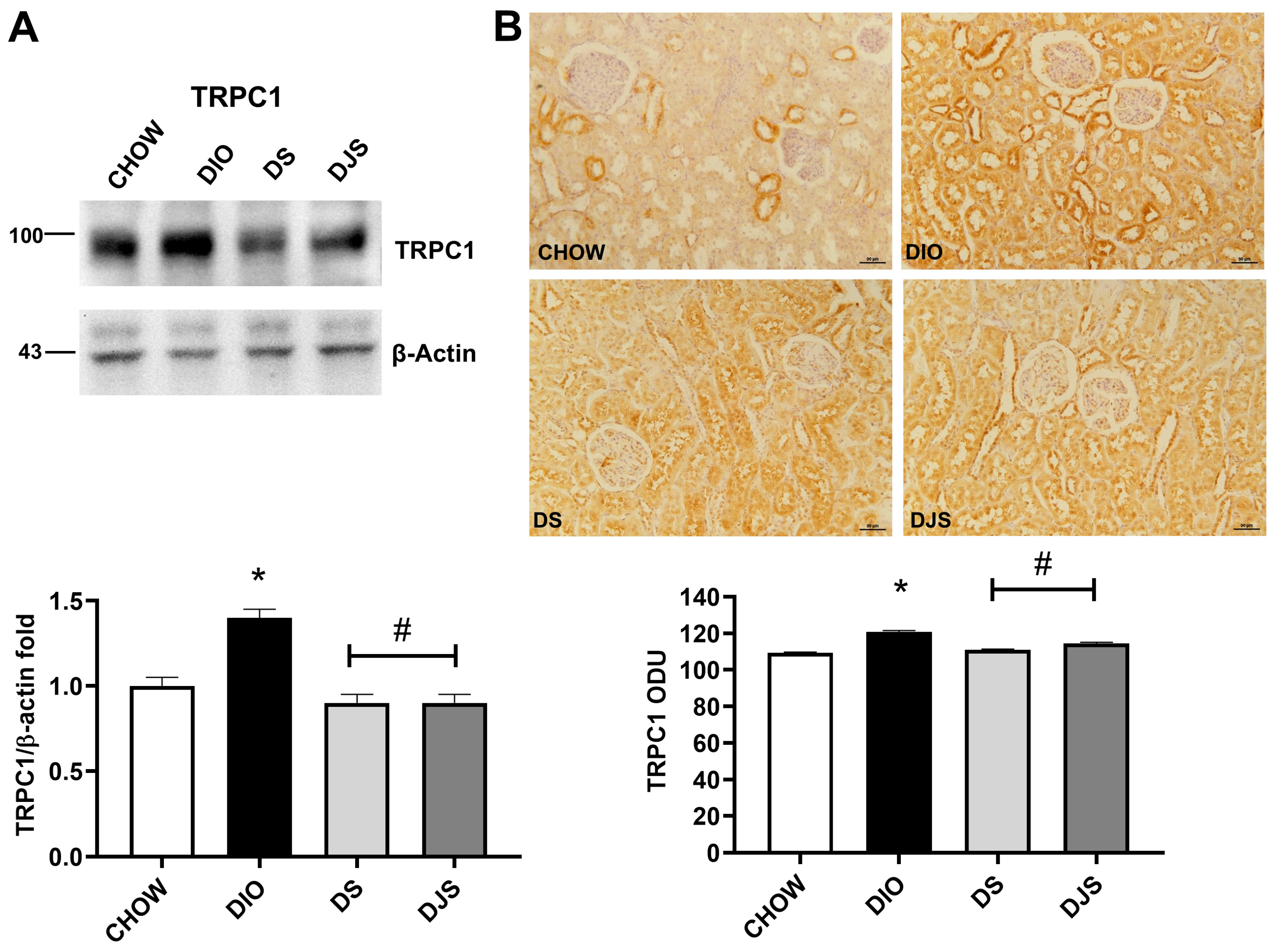 Antioxidants 14 01102 g006