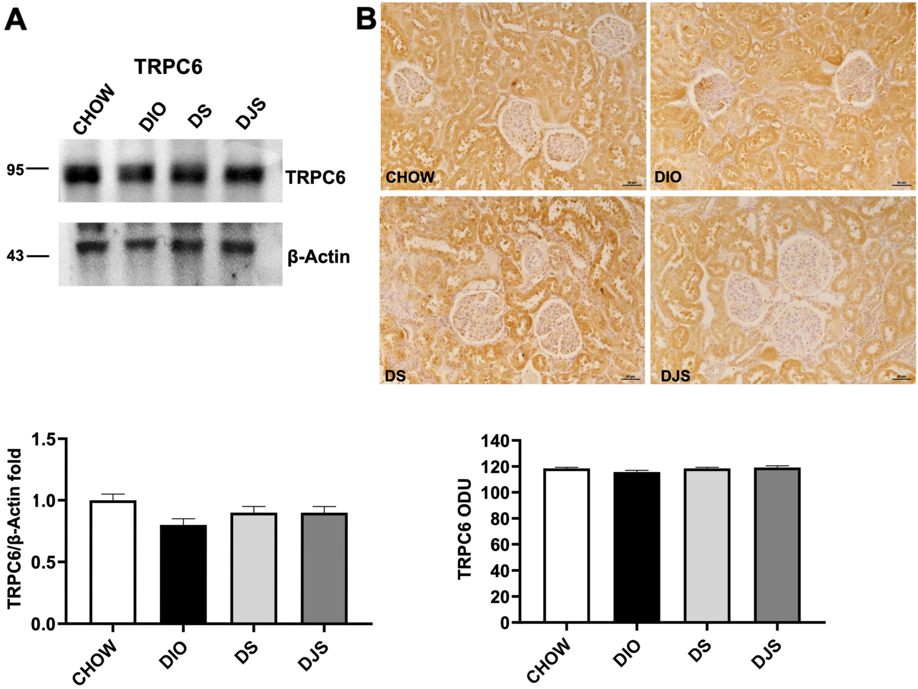 Antioxidants 14 01102 g007