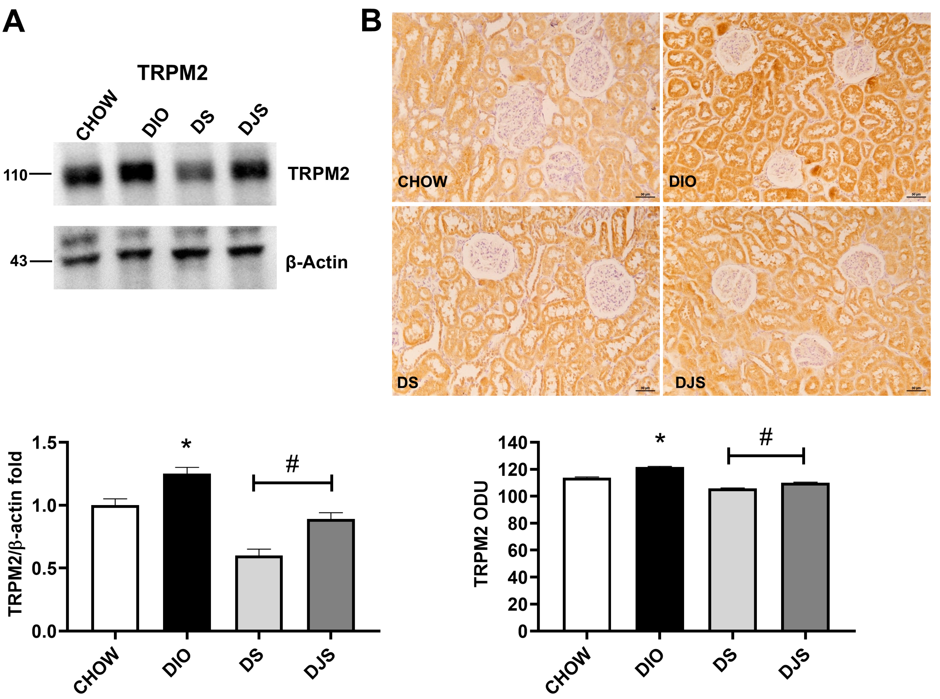 Antioxidants 14 01102 g008