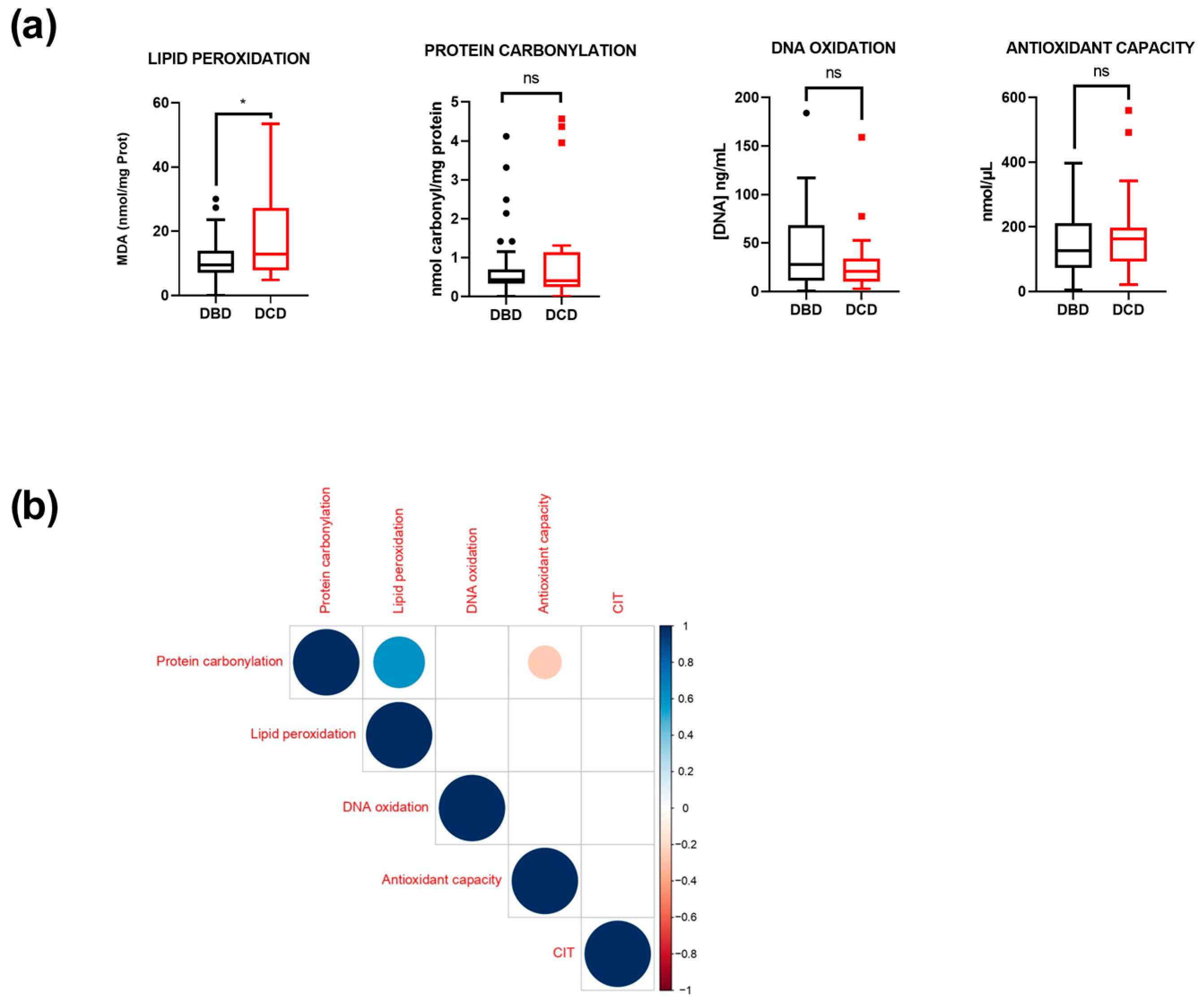 Antioxidants 14 01104 g001