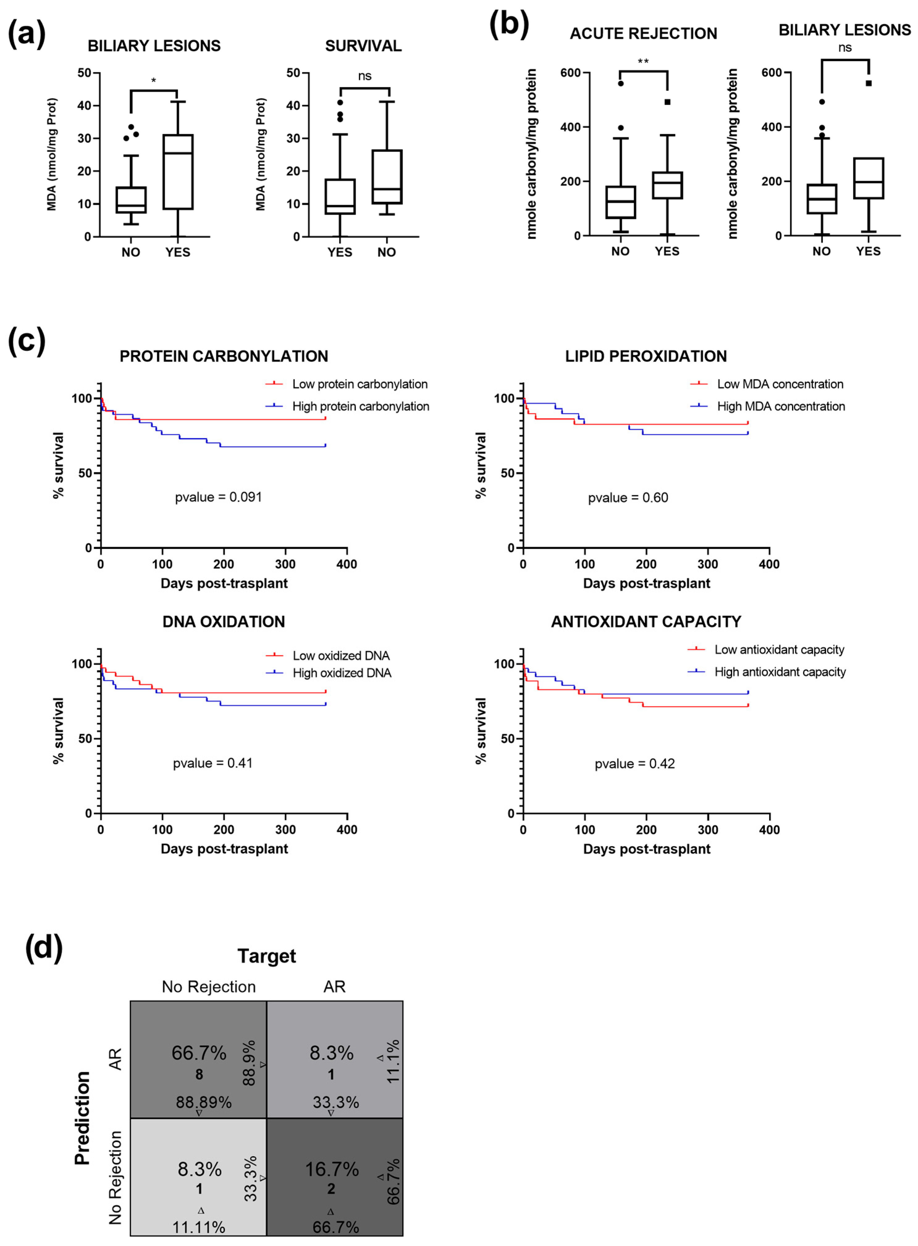 Antioxidants 14 01104 g003