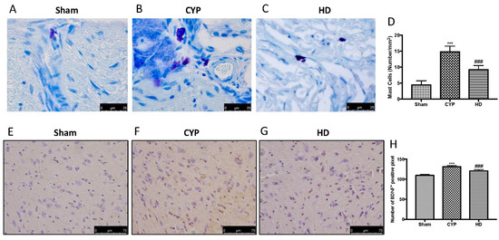 Antioxidants 14 01106 g006