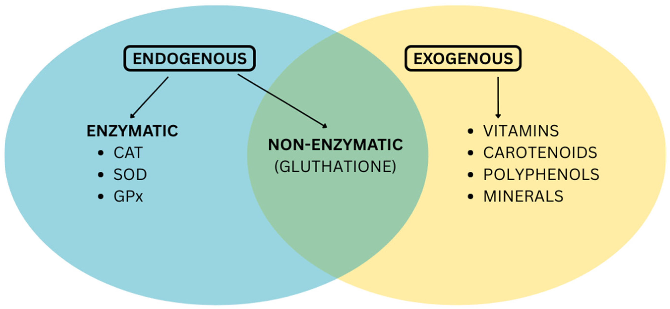 Antioxidants 14 01110 g001 Antioxidants 14 01110 g001