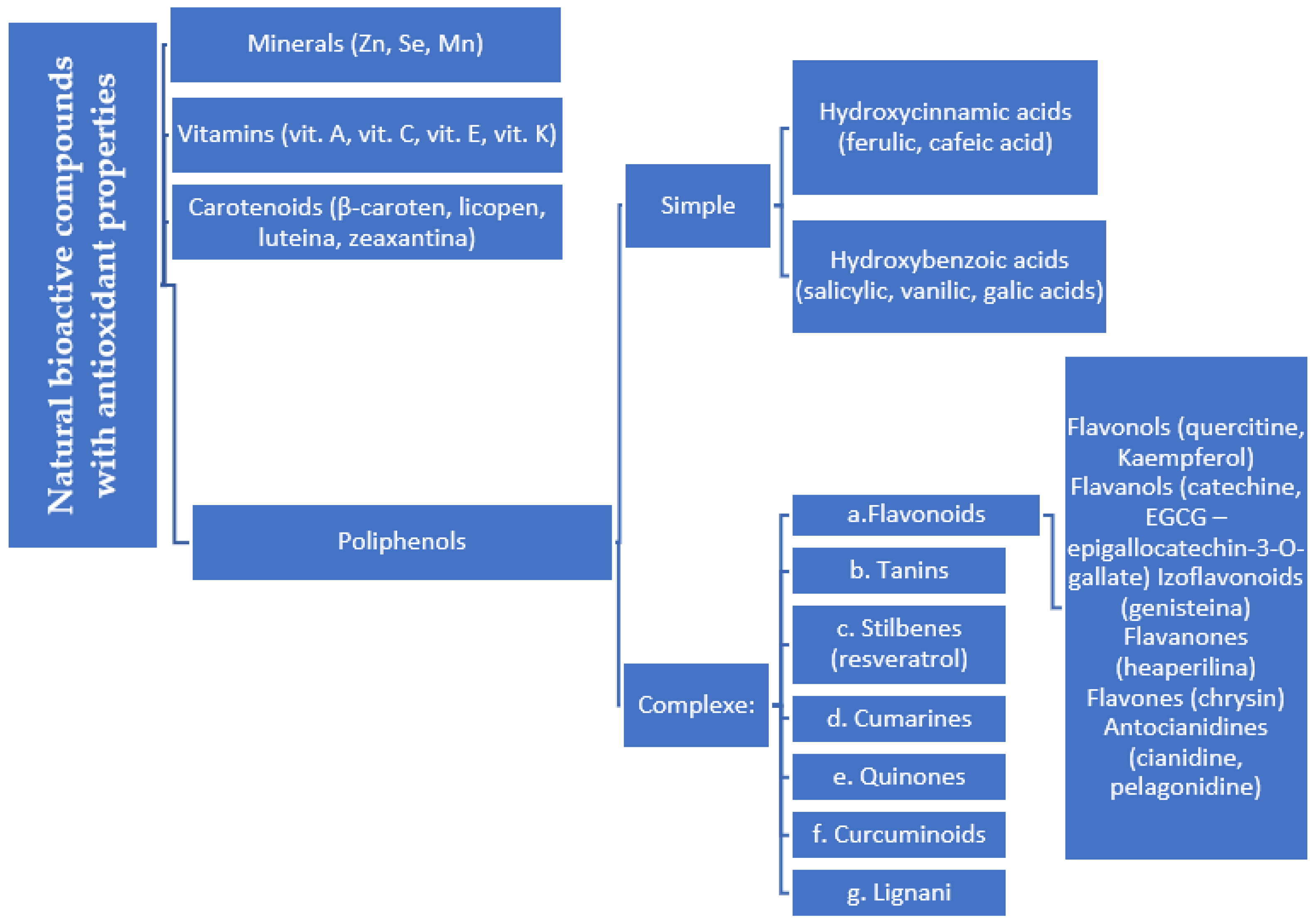 Antioxidants 14 01110 g002 Antioxidants 14 01110 g002
