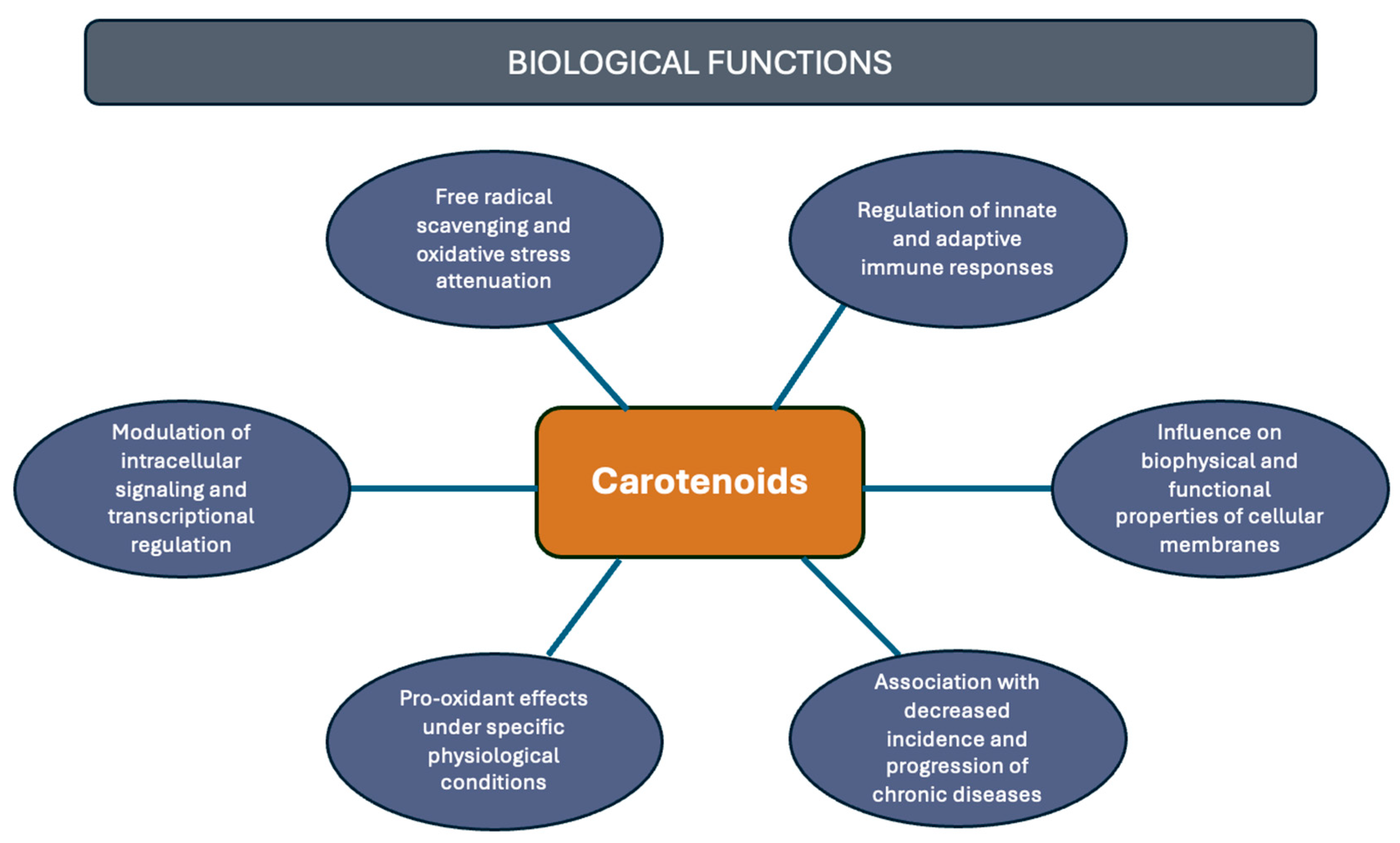 Antioxidants 14 01111 g002