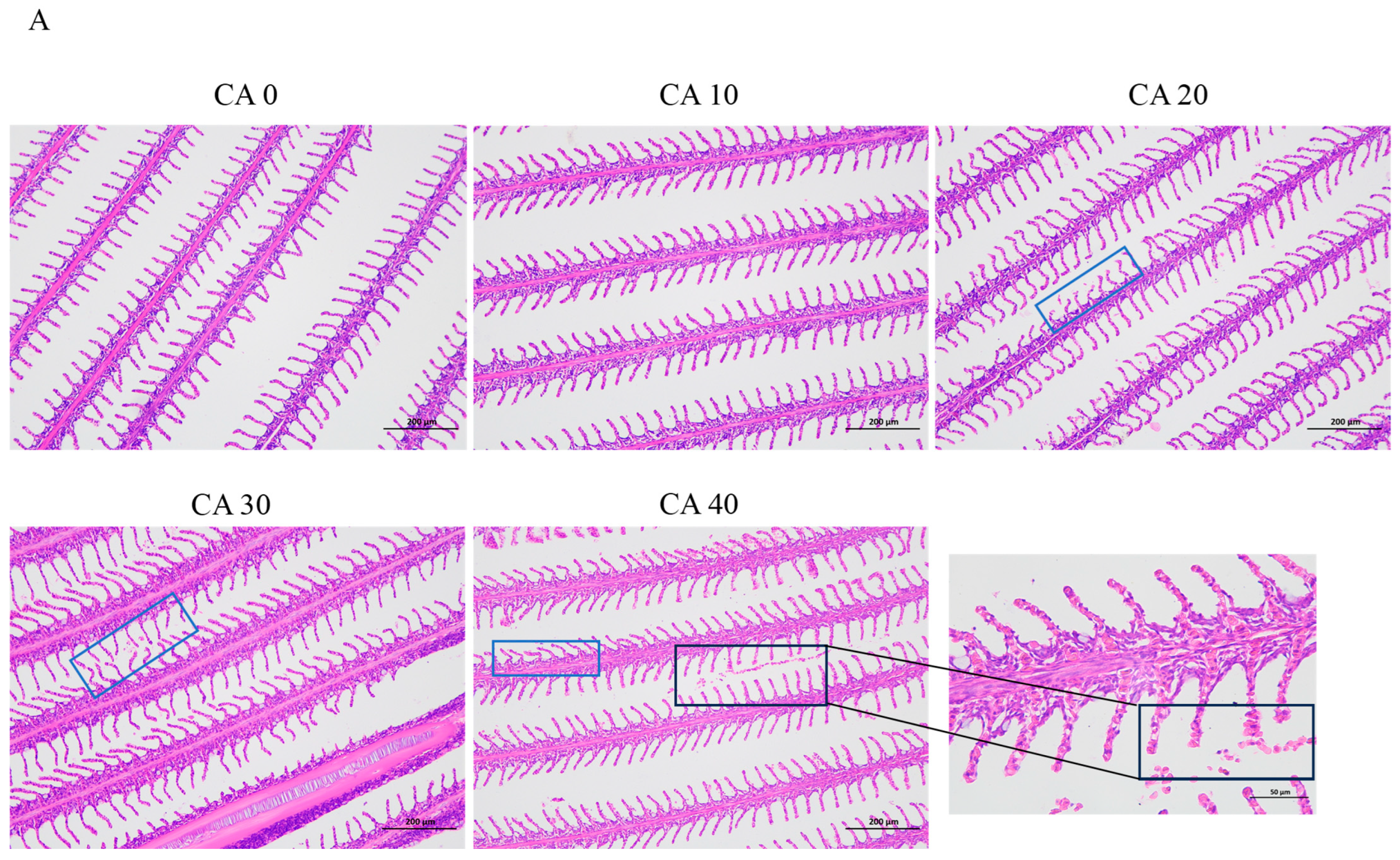 Antioxidants 14 01112 g001a