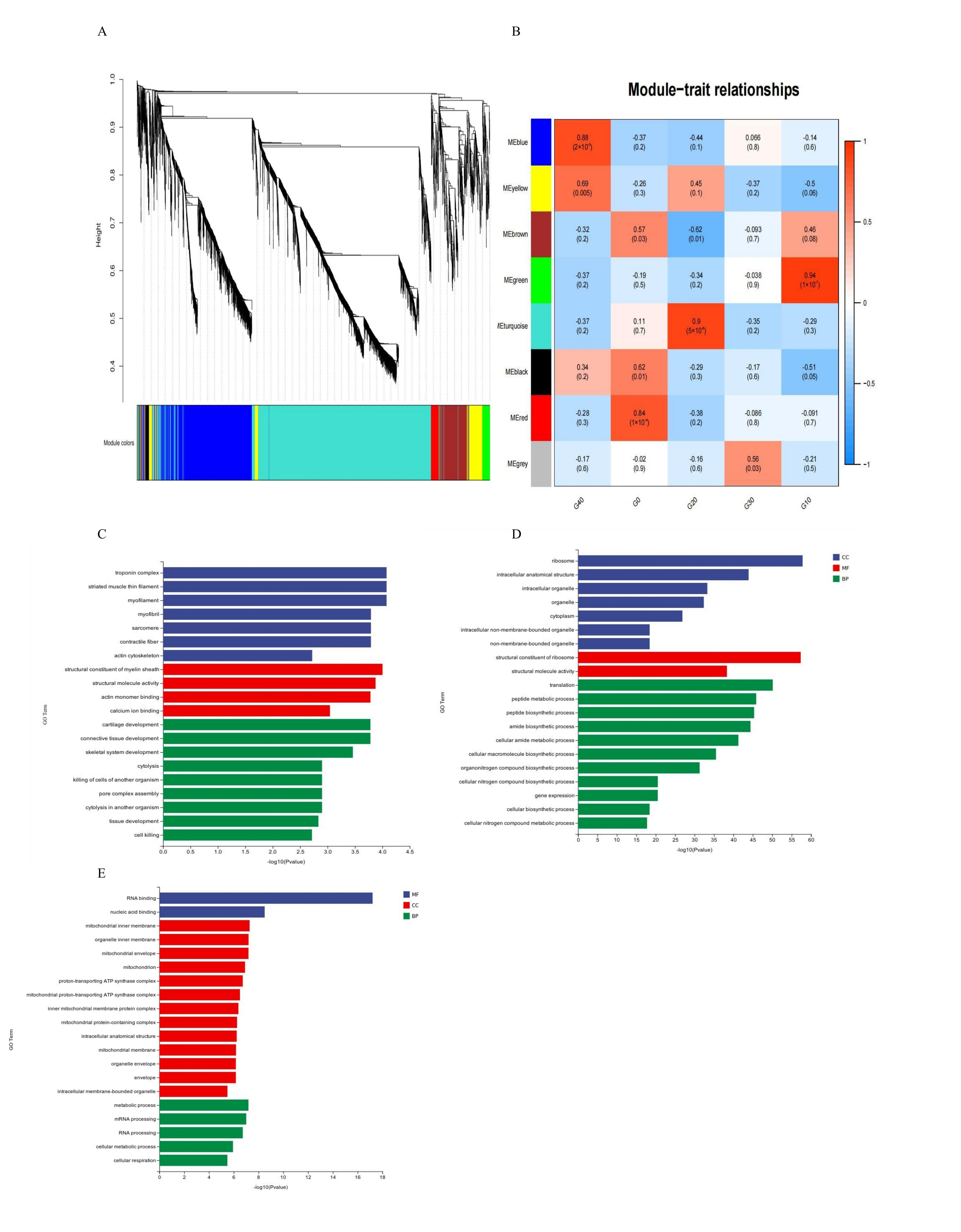 Antioxidants 14 01112 g006