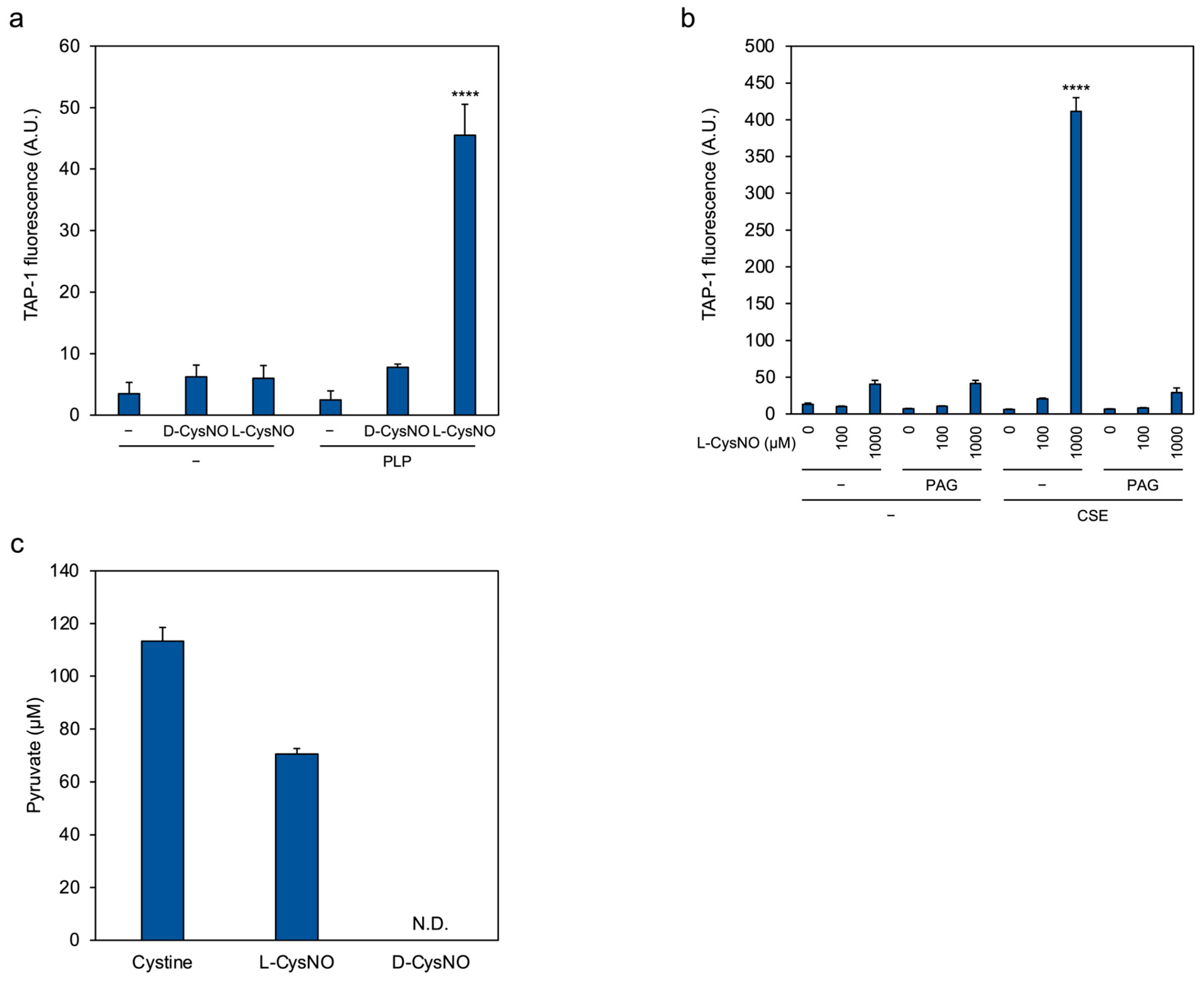 Antioxidants 14 01113 g004