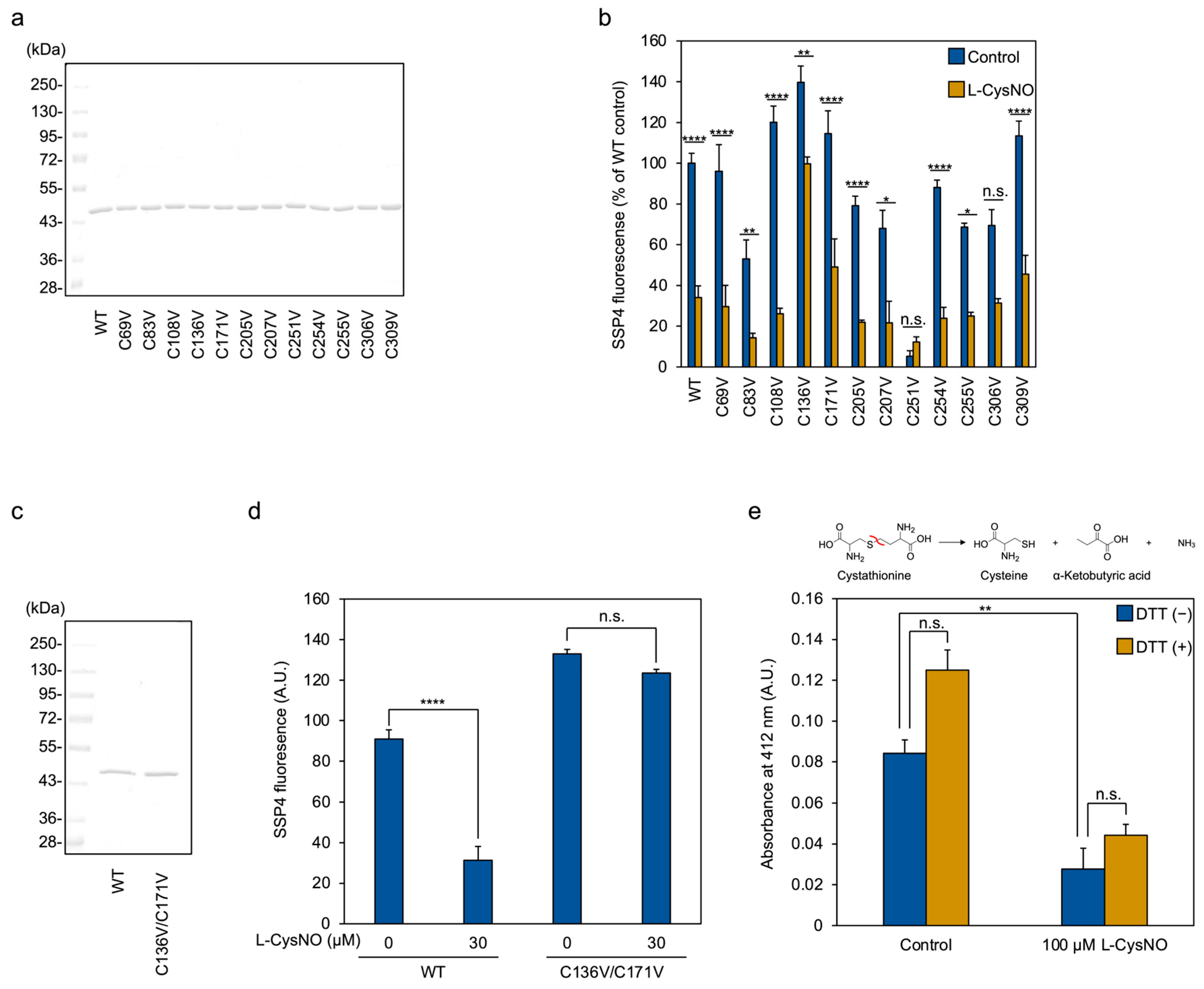 Antioxidants 14 01113 g006
