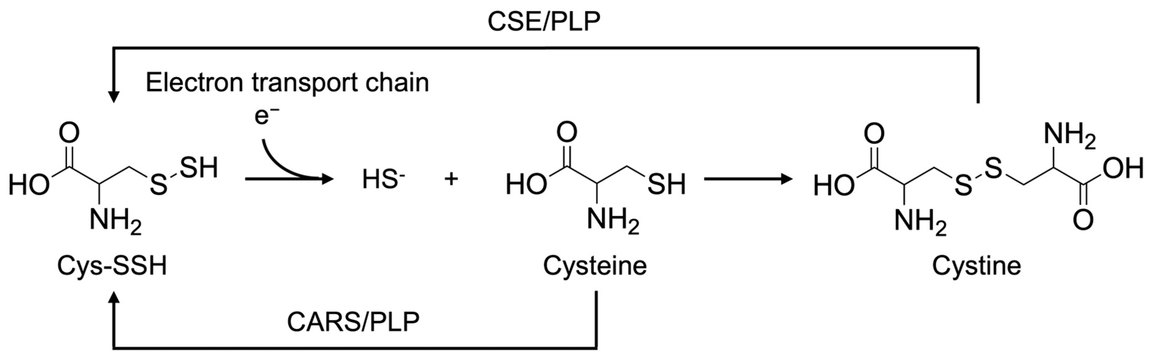 Antioxidants 14 01113 sch001