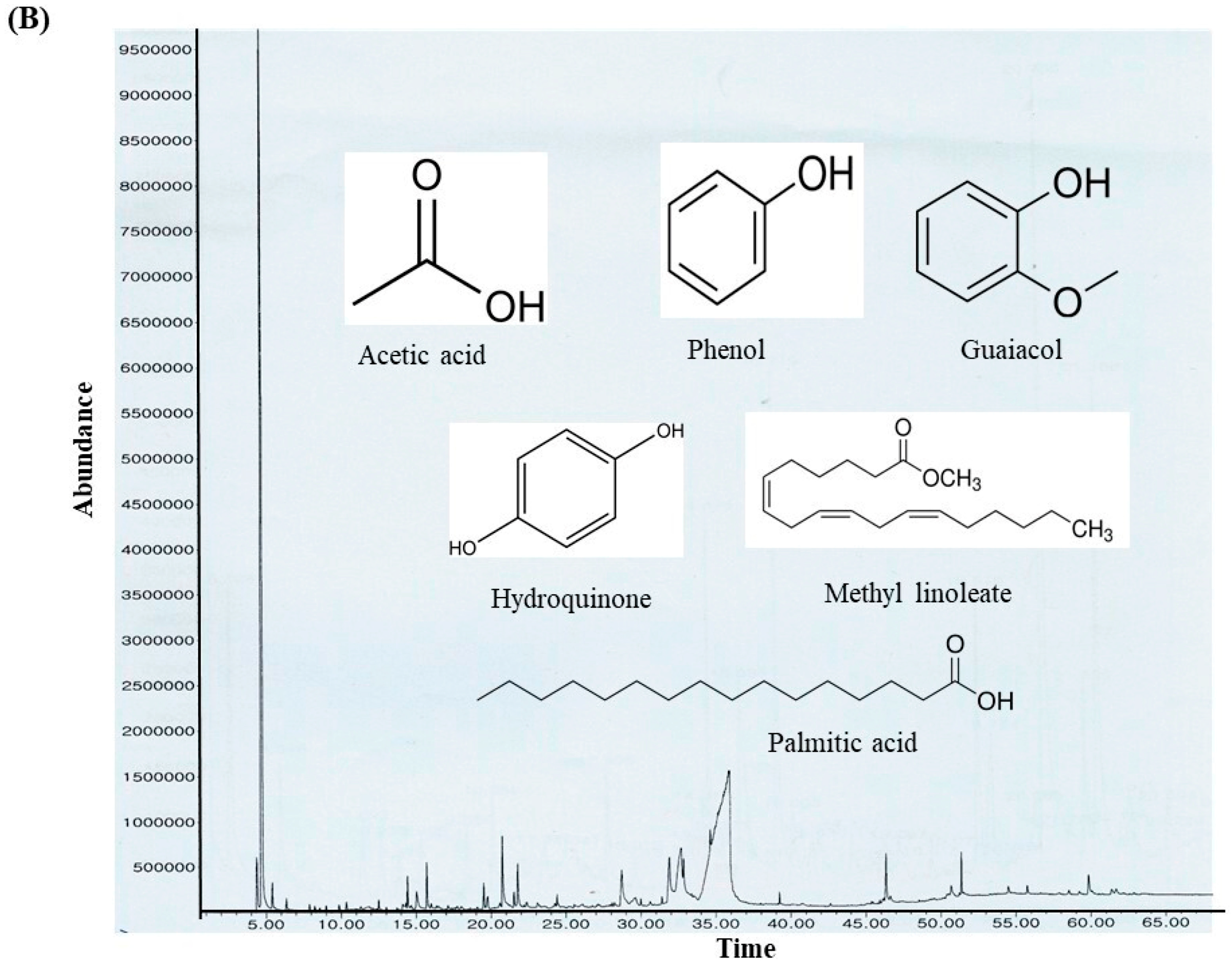 Antioxidants 14 01114 g003b