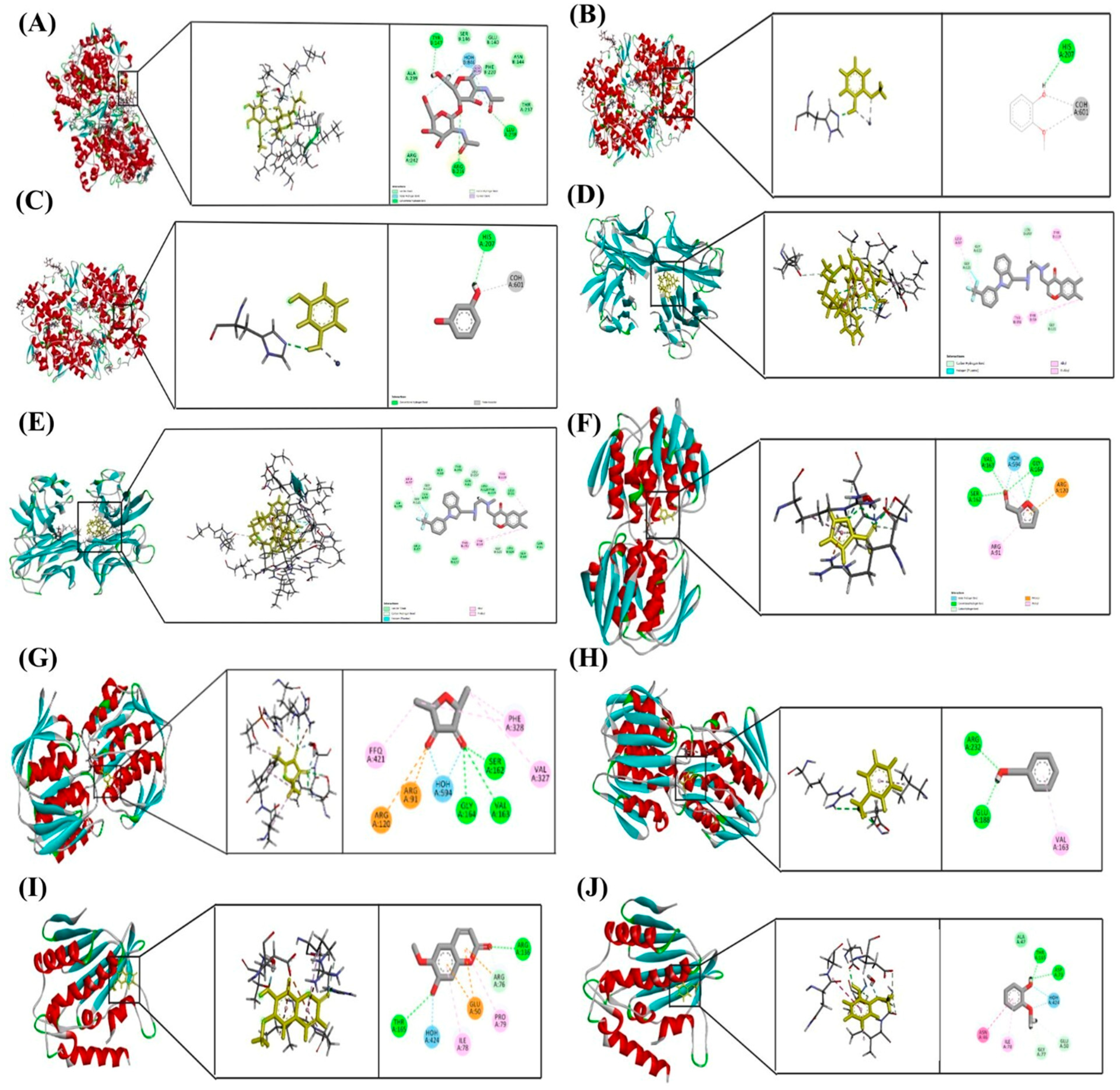 Antioxidants 14 01114 g013