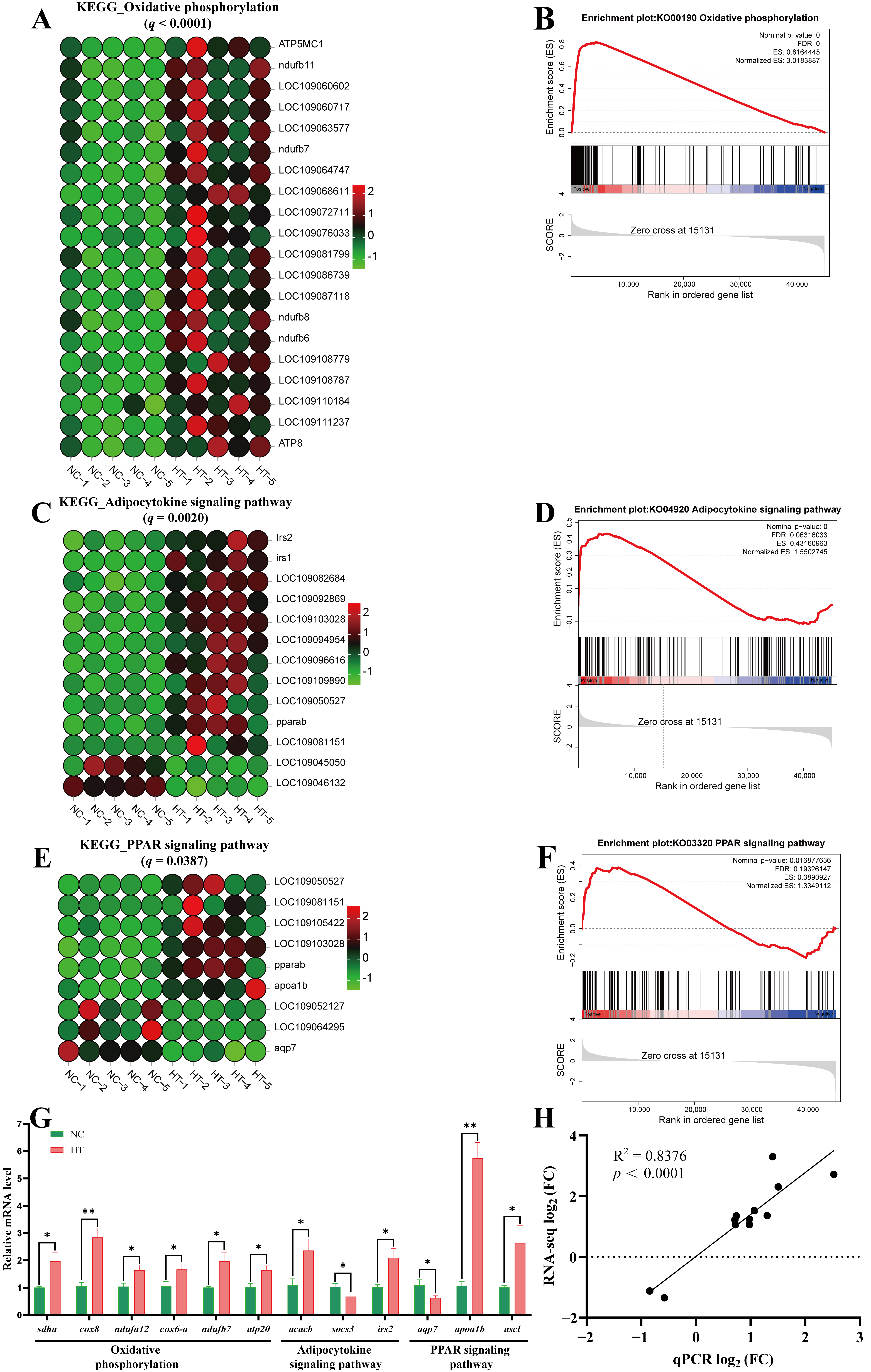 Antioxidants 14 01115 g008