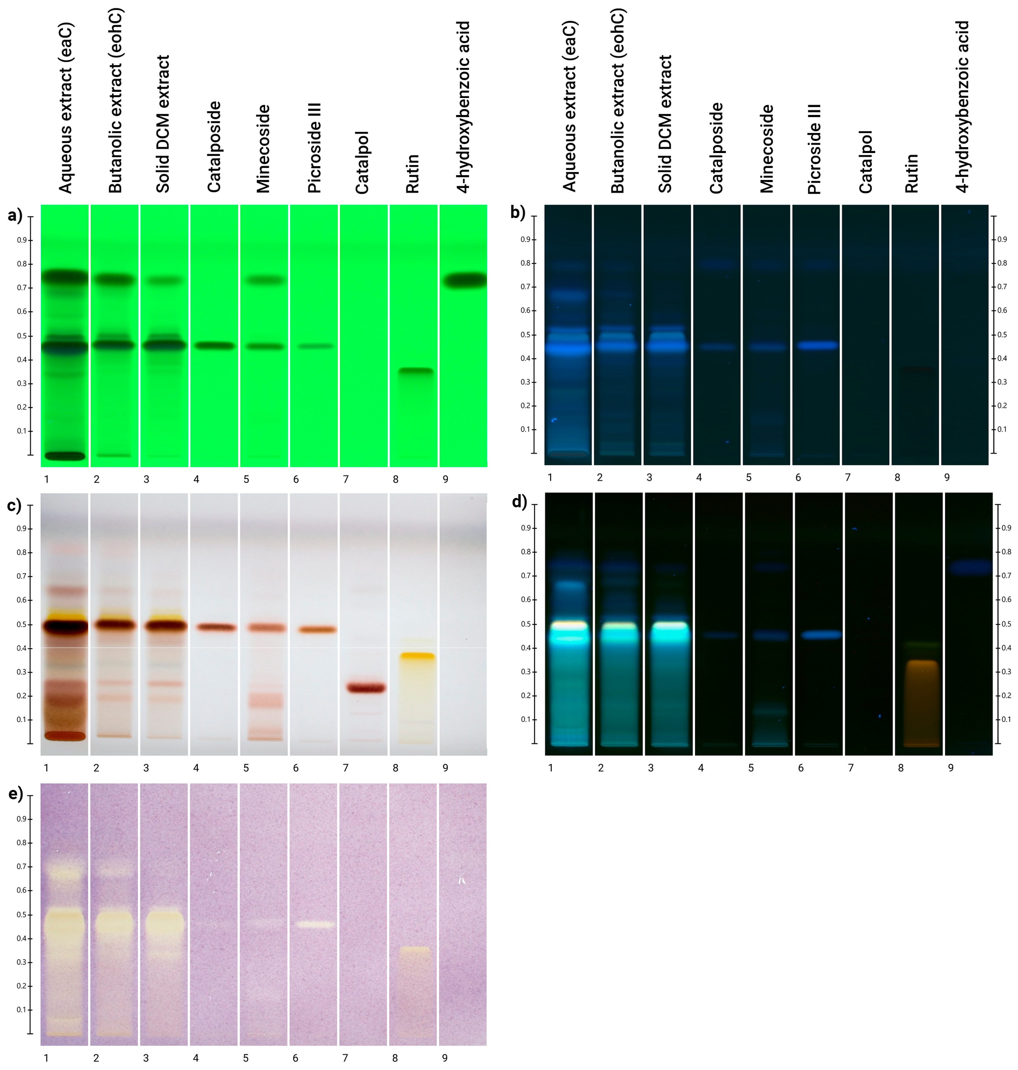 Antioxidants 14 01116 g002