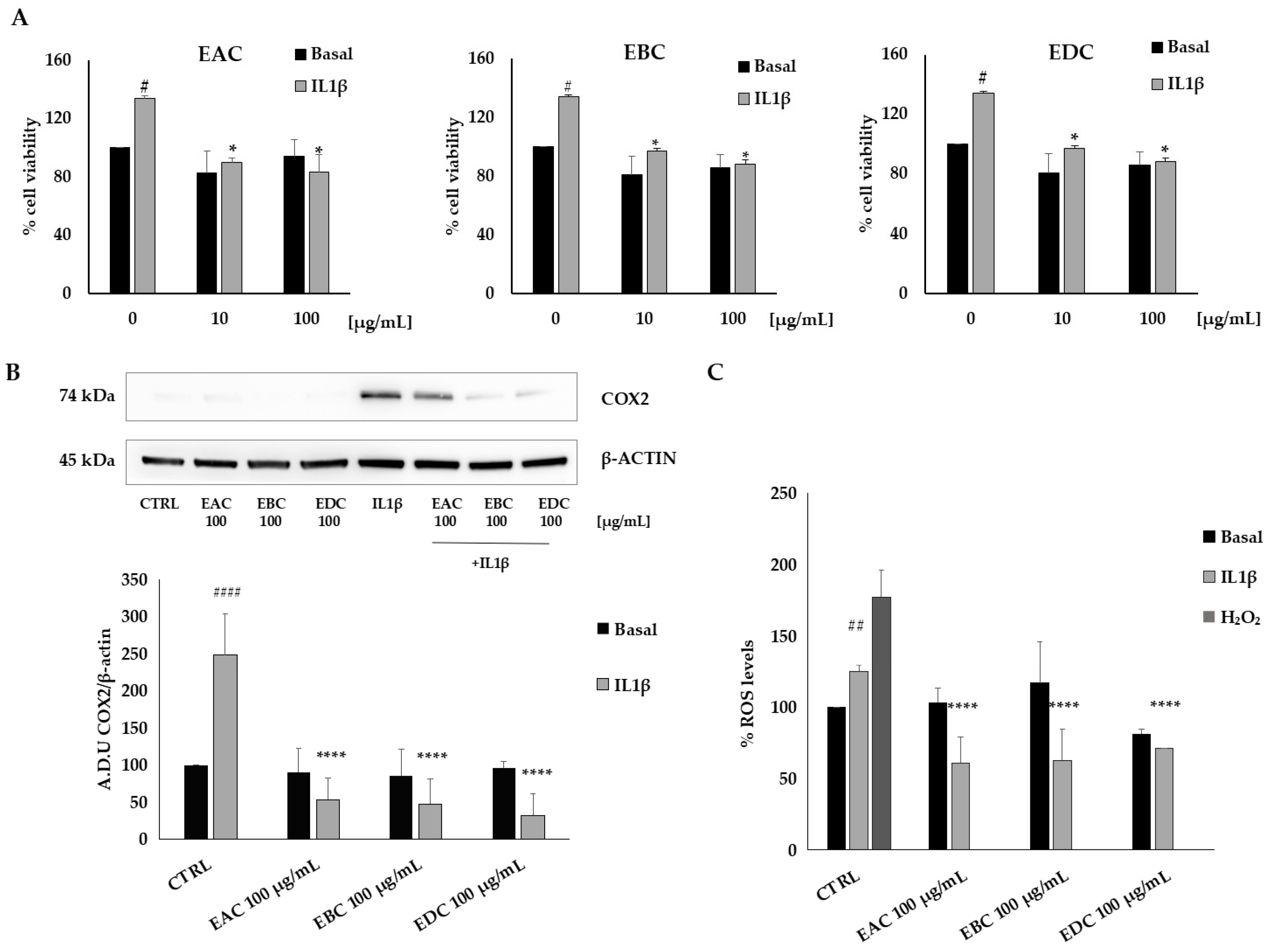 Antioxidants 14 01116 g004