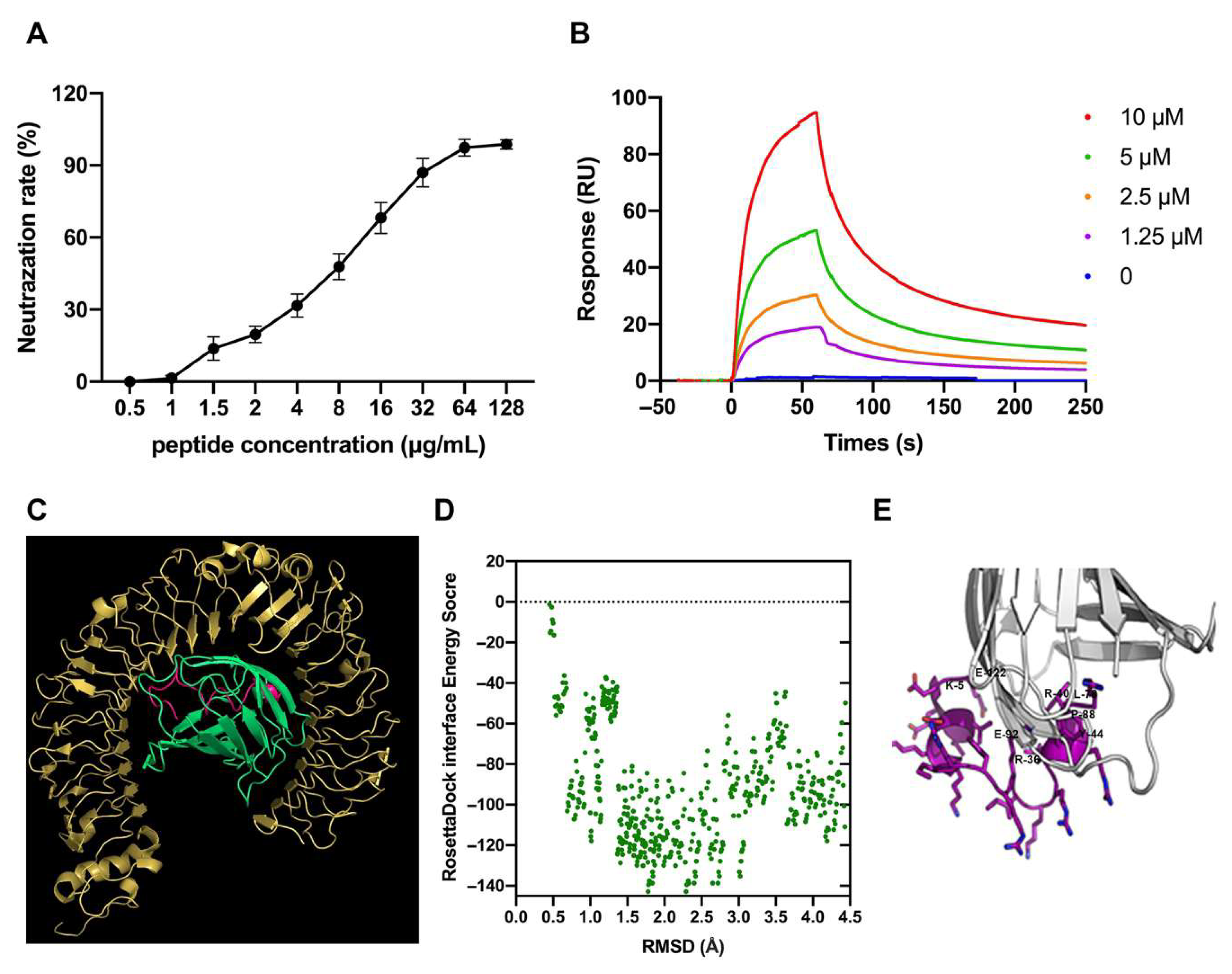 Antioxidants 14 01117 g007