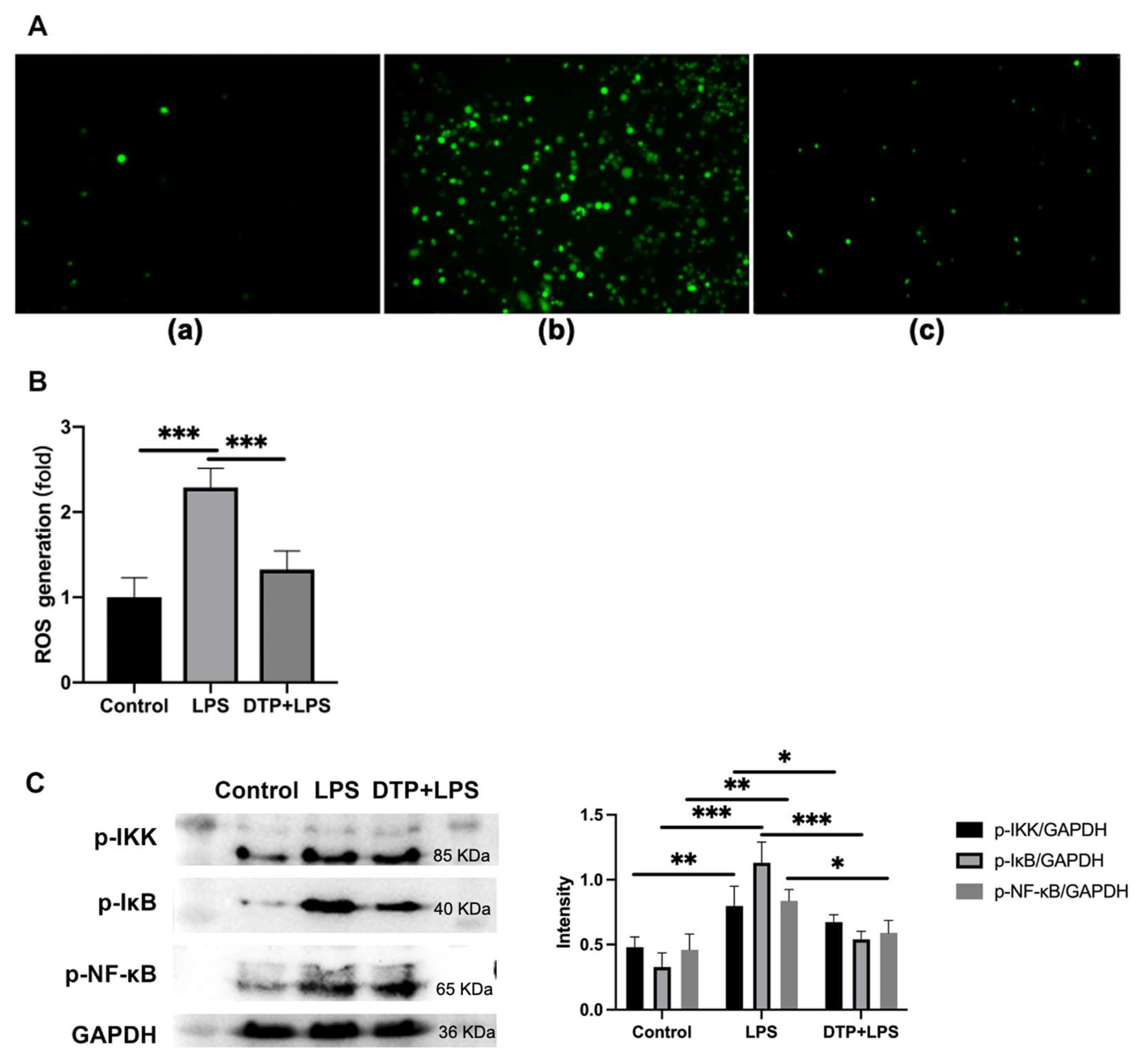 Antioxidants 14 01117 g008